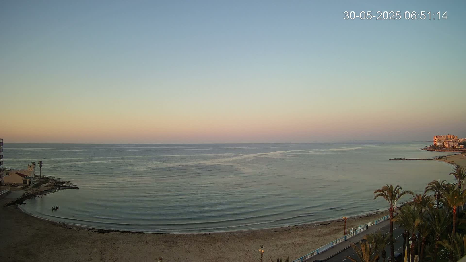 A calm, pale-pink sunrise illuminates a sandy beach, palm trees, and a calm ocean with gentle waves.