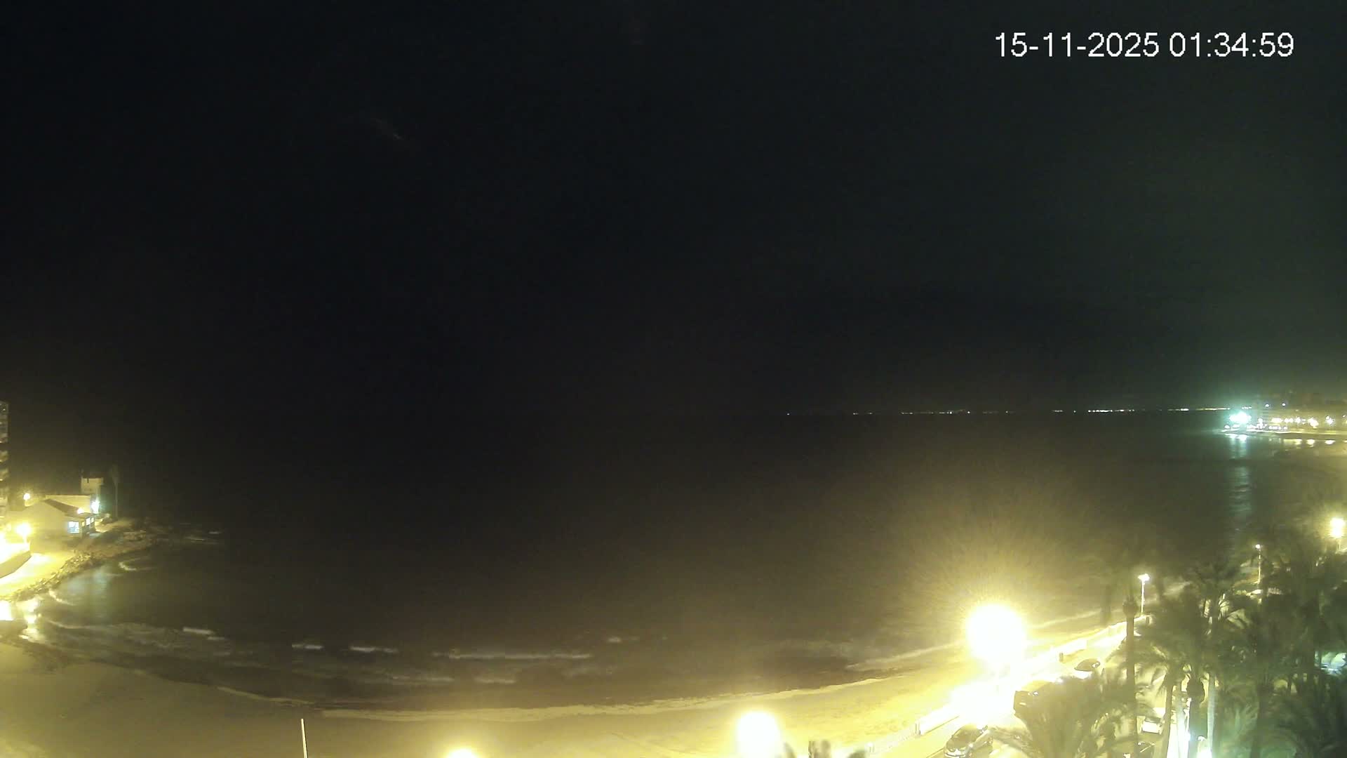 A clear night reveals a dark ocean with gentle waves meeting a brightly lit beach and coastal road, with city lights stretching into the distance and palm trees visible on the right.