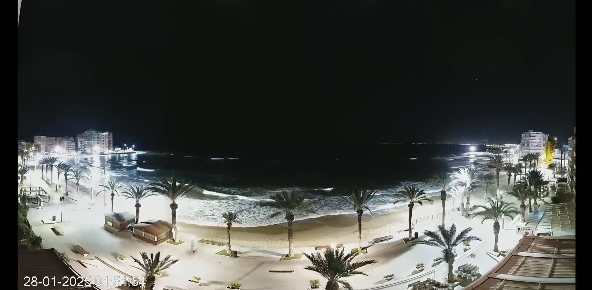 A nighttime view of a beach with palm trees lining a paved walkway, moderate waves lapping the shore, and buildings illuminated in the distance.