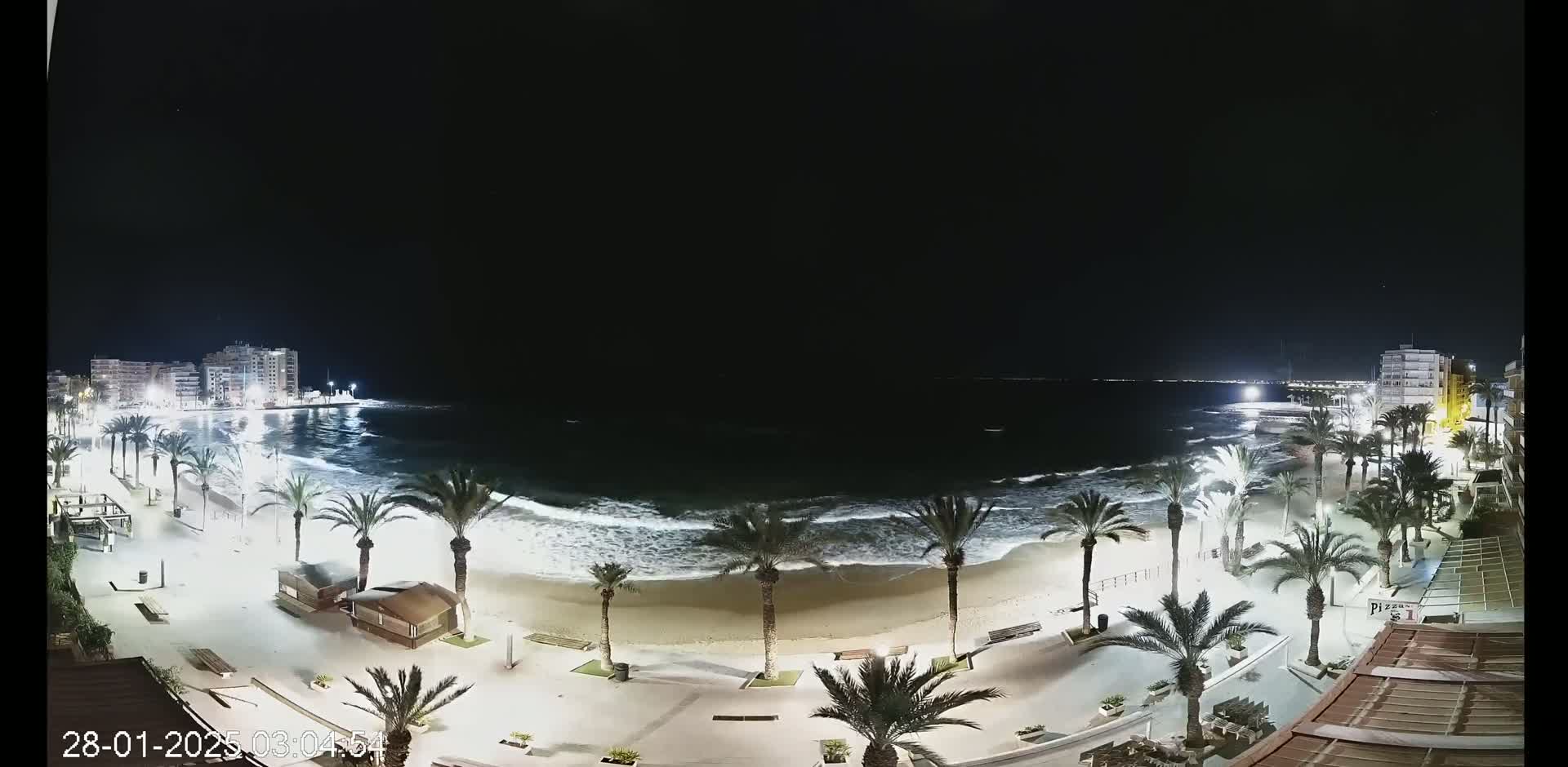 A nighttime view of a beach with palm trees lining a paved walkway, waves breaking on the shore, and buildings in the background under a clear, dark sky.
