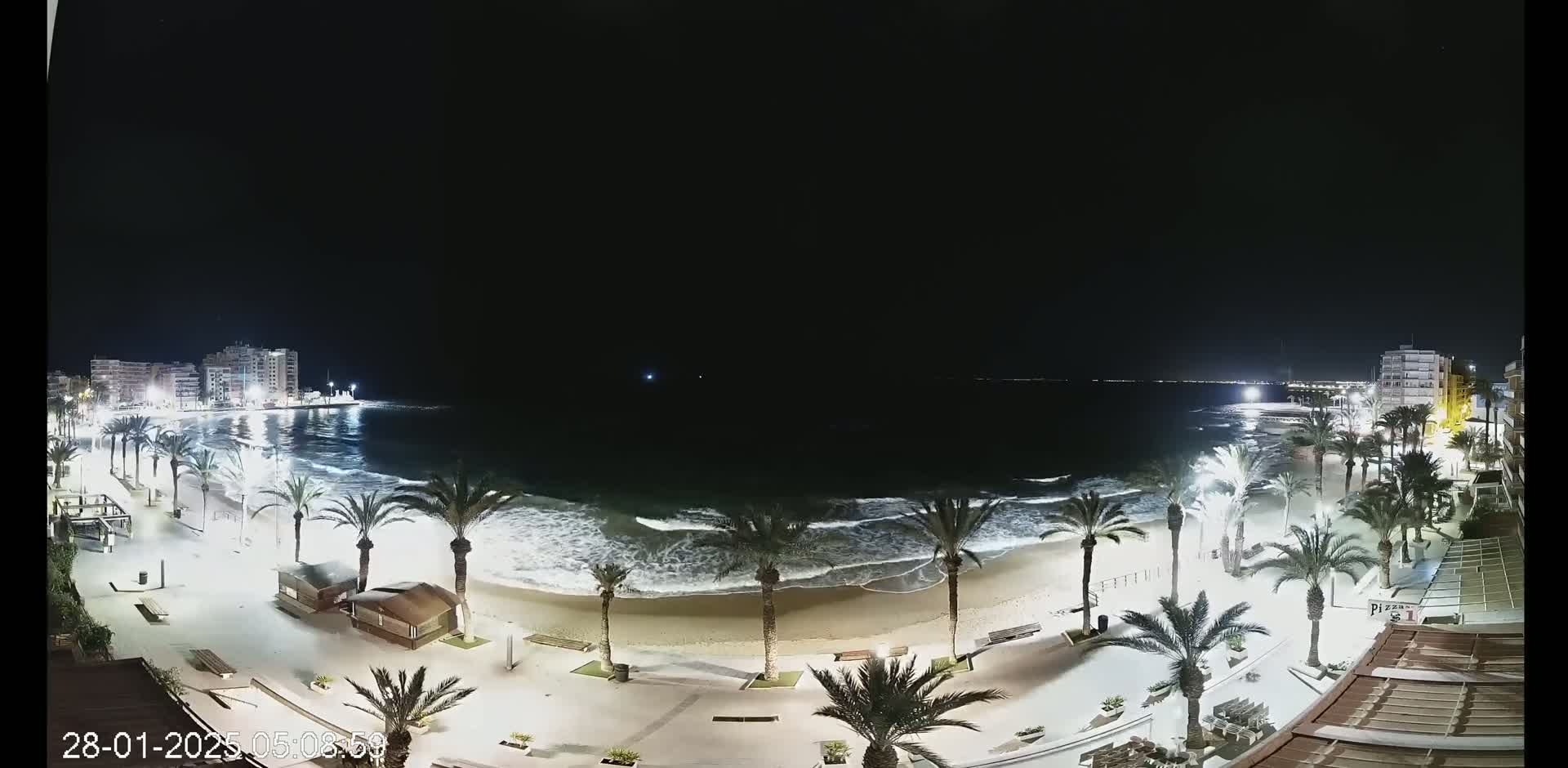 A nighttime view of a sandy beach with palm trees lining a paved walkway, moderate waves lapping the shore, and buildings visible in the distance under a dark, clear sky.
