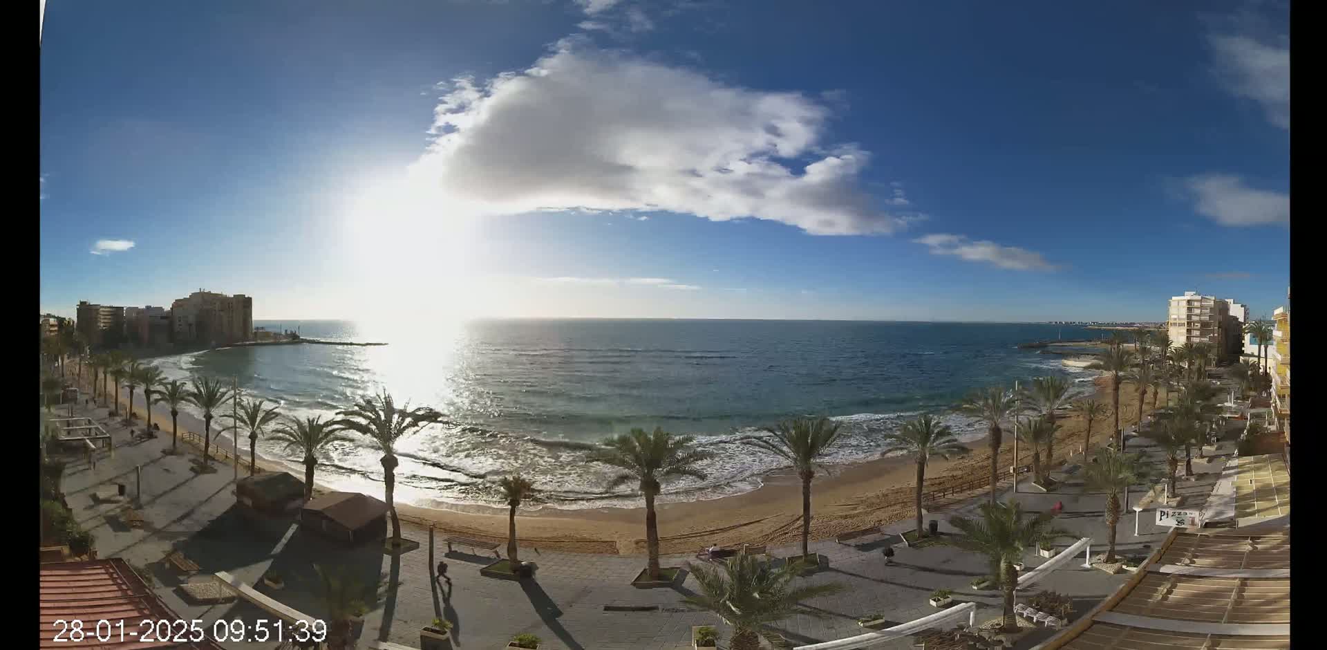 A sunny day with partly cloudy skies shows a beach with palm trees, buildings, and a calm ocean.
