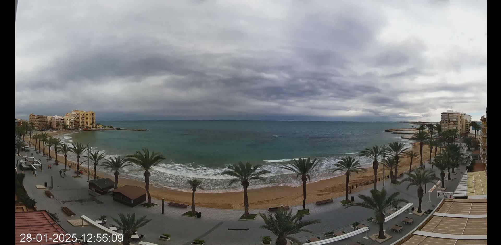 A beach with palm trees and buildings is visible under an overcast sky, with waves breaking on the shore.