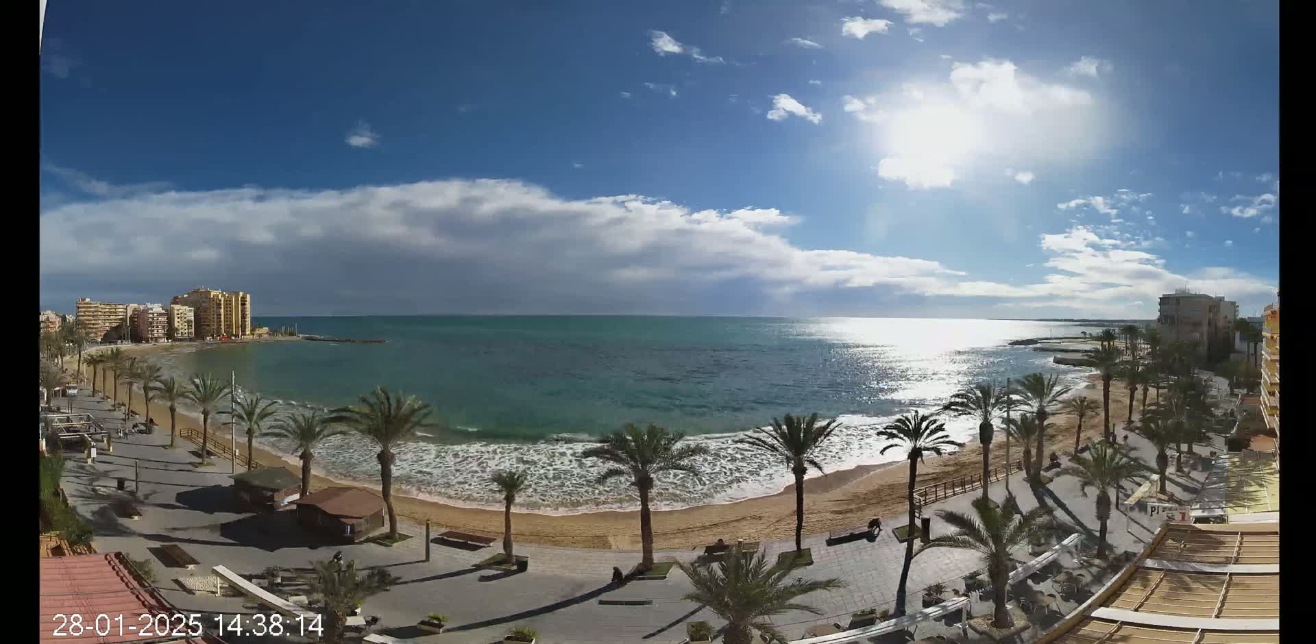 A sunny day with partly cloudy skies shows a beach scene with palm trees lining a paved walkway next to a sandy beach with gentle waves and buildings in the background.