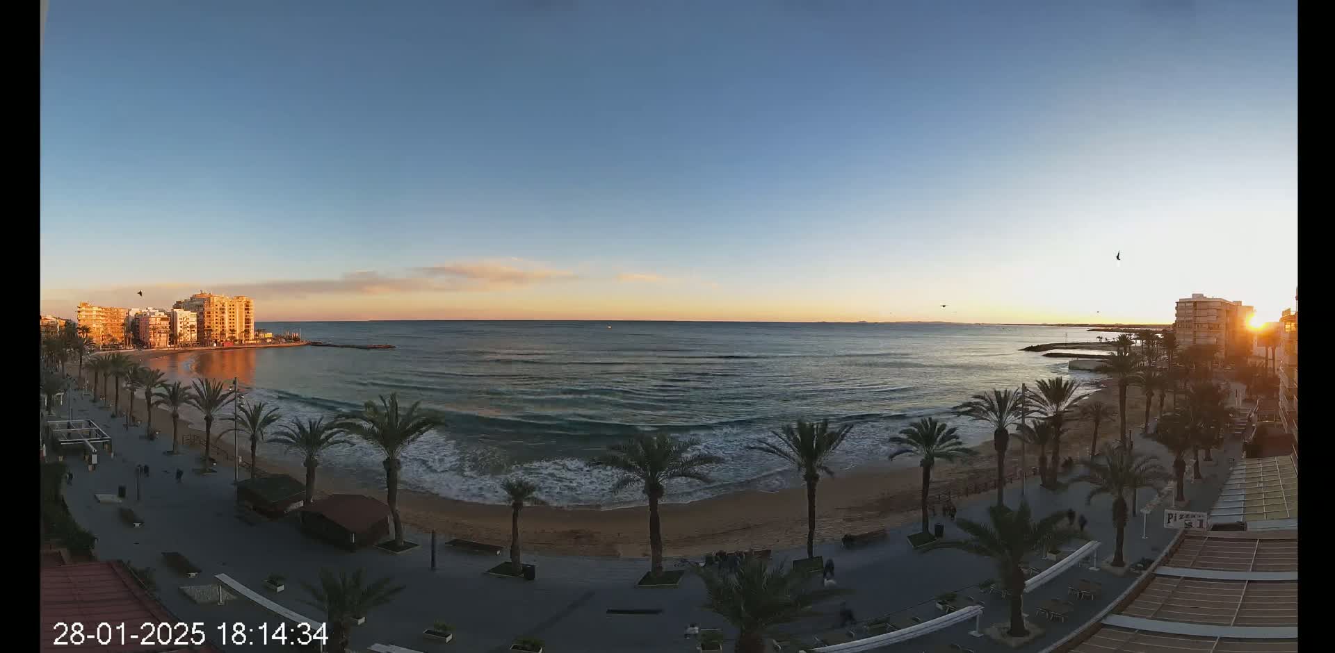A calm ocean with small waves laps a sandy beach lined with palm trees at sunset, bordered by buildings and a paved walkway.