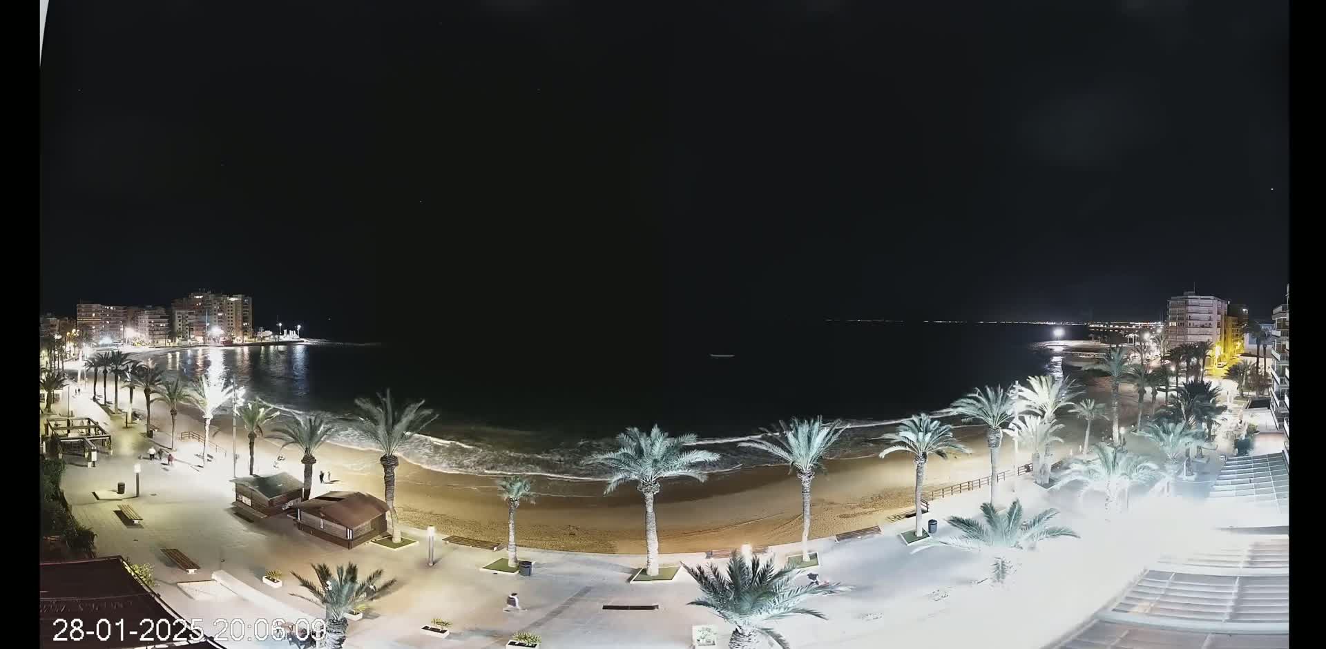 A night-time view of a sandy beach lined with palm trees and buildings, under a clear, dark sky with gentle waves lapping the shore.