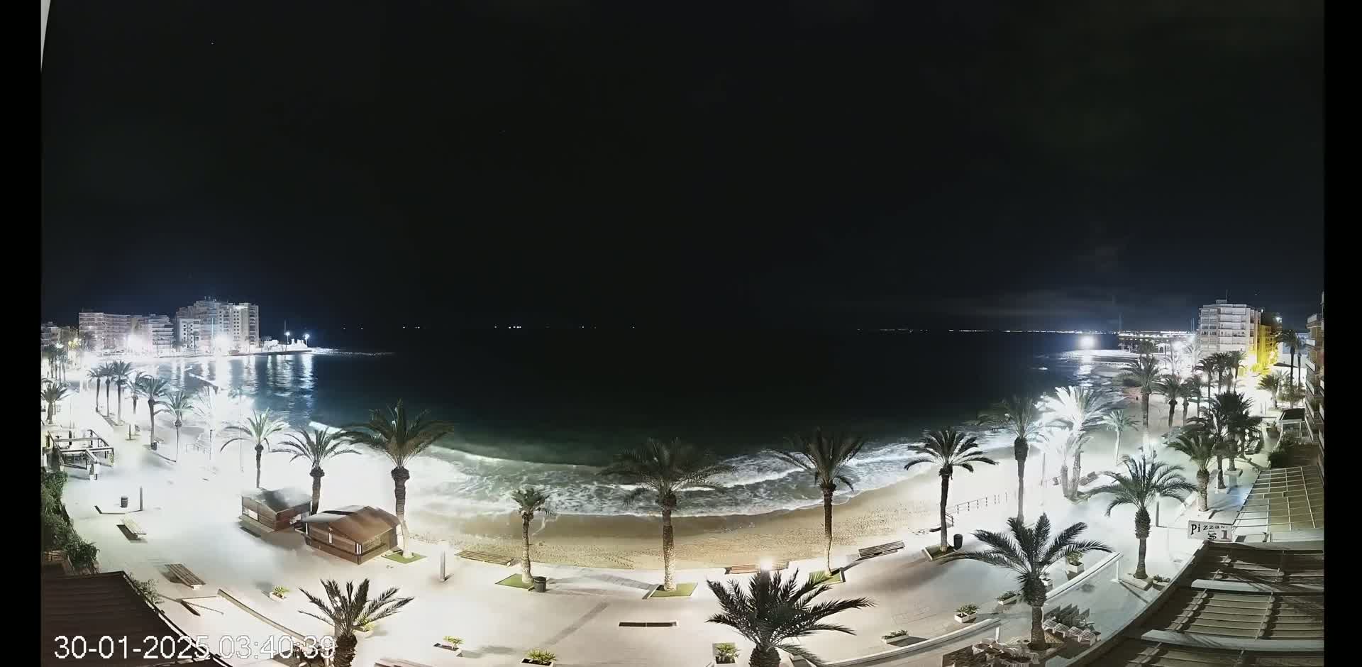 A nighttime view of a beach with palm trees lining a paved walkway, gentle waves lapping the shore, and buildings illuminated along the coastline under a dark sky.