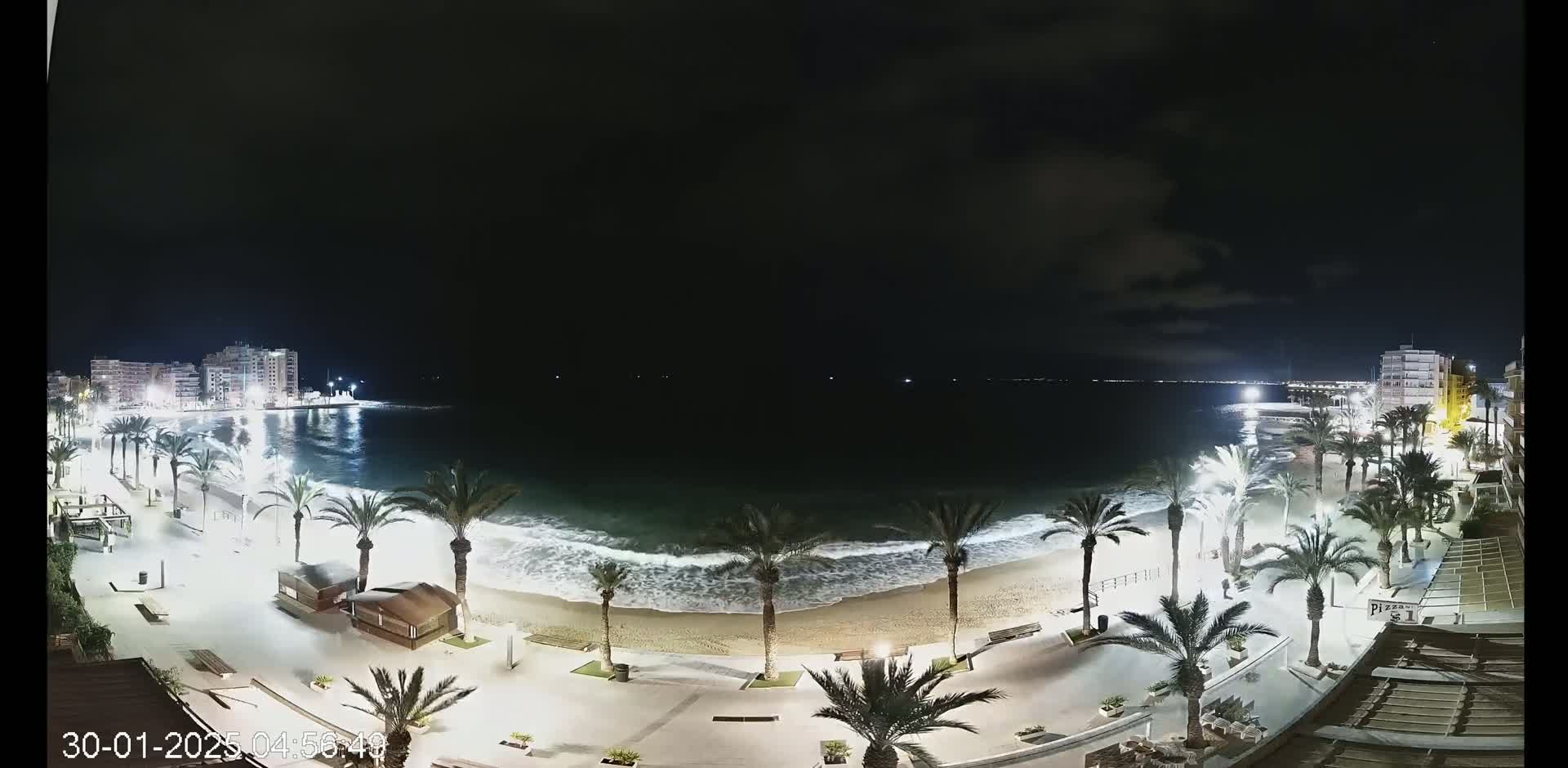 A nighttime view of a beach with palm trees lining a paved walkway, gentle waves lapping the shore, and buildings in the distance under a mostly clear sky.