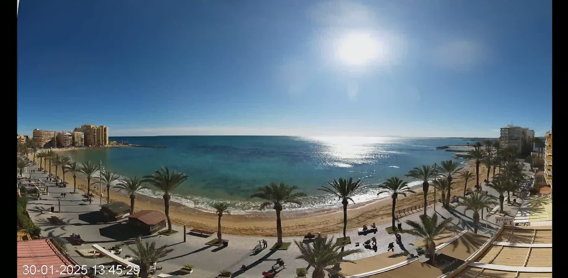 A sunny day at a beach with palm trees lining a boardwalk and buildings visible in the distance.