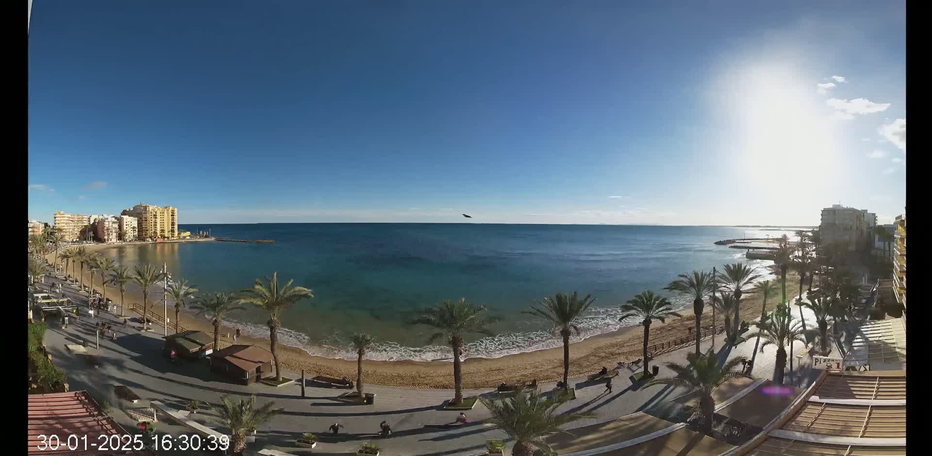 A sunny day shows a sandy beach with palm trees lining a promenade next to a calm turquoise sea and buildings in the background.