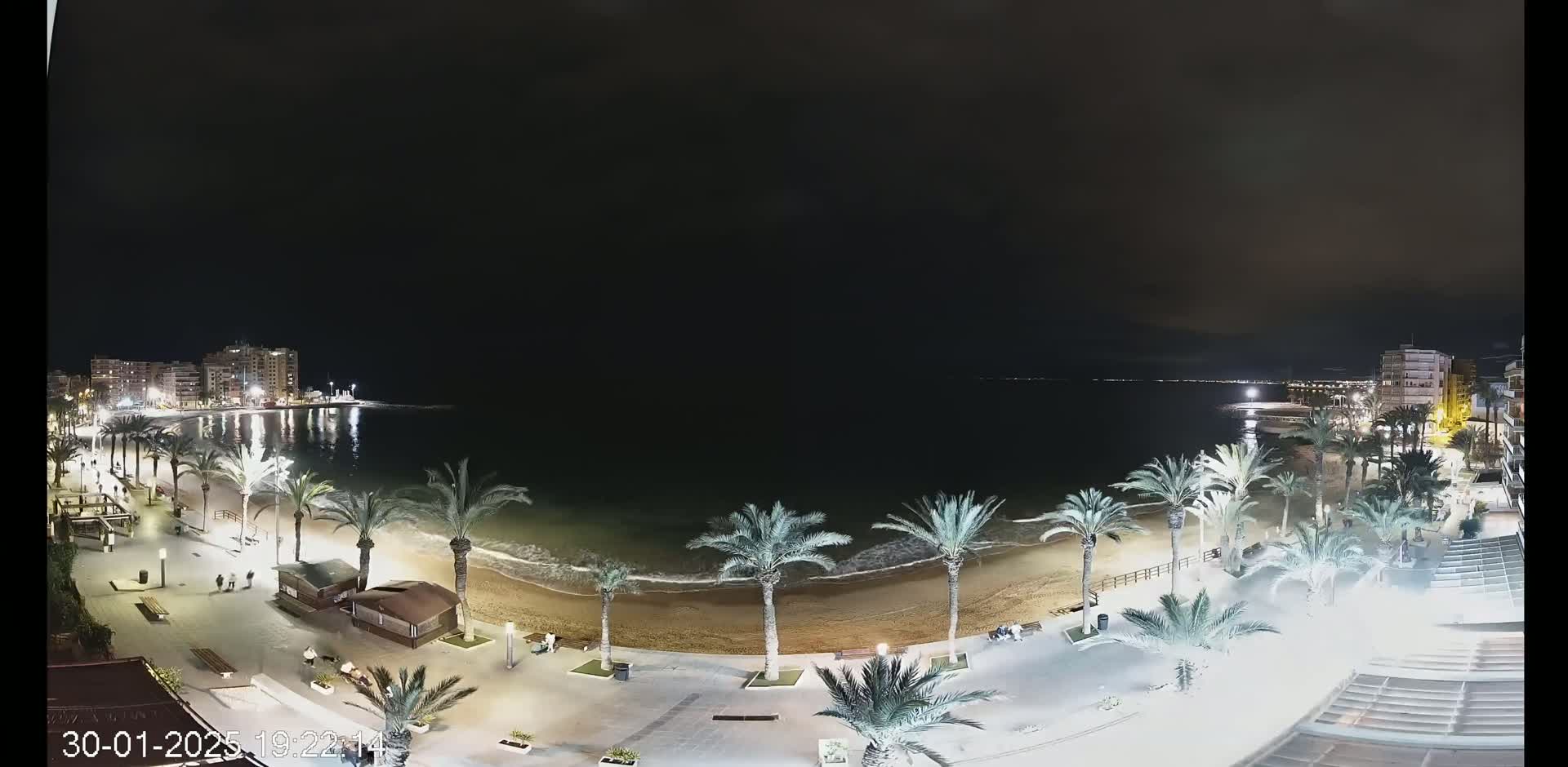 A nighttime view of a beach with palm trees lining a paved walkway, buildings visible in the distance, and calm waves lapping the shore under a dark sky.