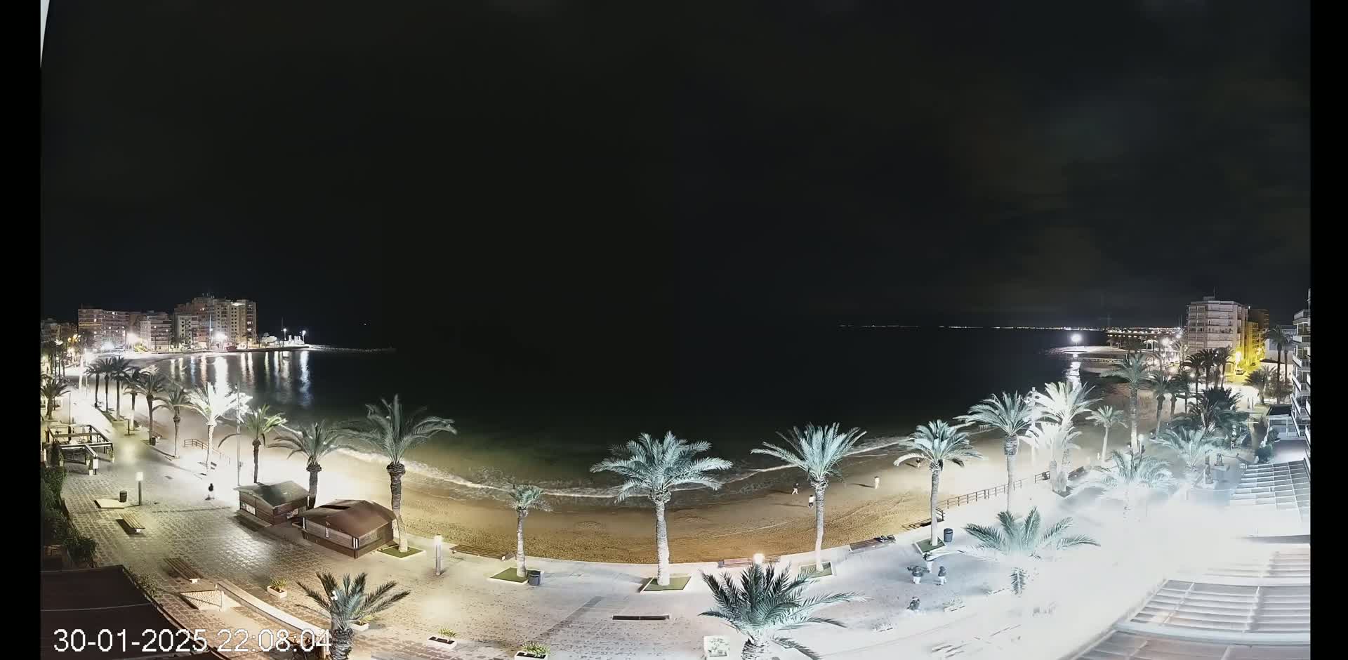 A nighttime view of a beach with palm trees lining a paved walkway, buildings in the distance, and calm water under a dark sky.