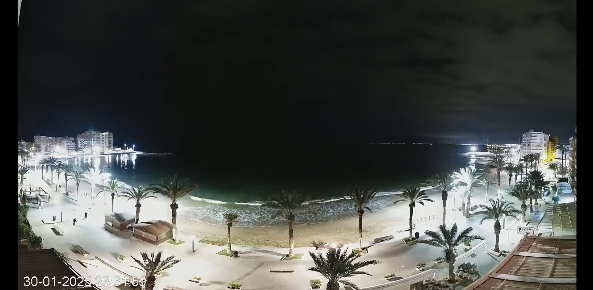 A nighttime view of a beach with palm trees lining a paved walkway, illuminated buildings in the distance, and gentle waves lapping the shore under a dark sky.