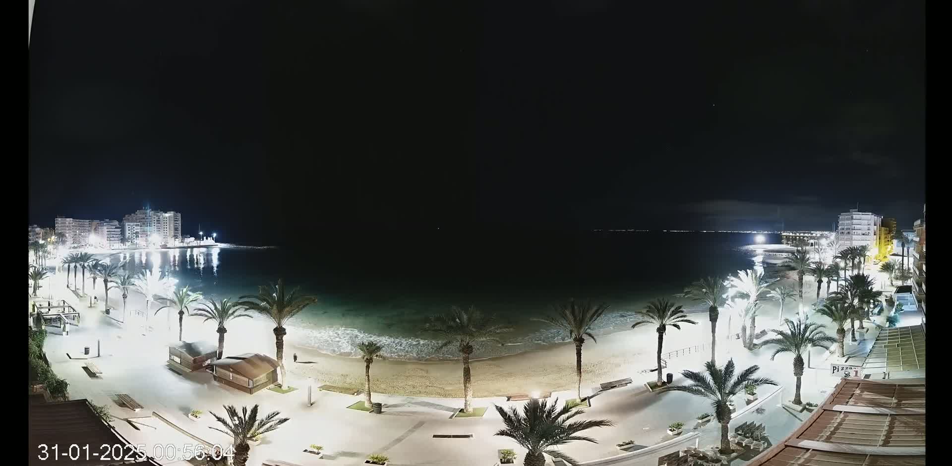 A nighttime view of a beach at the edge of a town, palm trees lining the illuminated promenade, and gentle waves lapping the shore under a clear, dark sky.