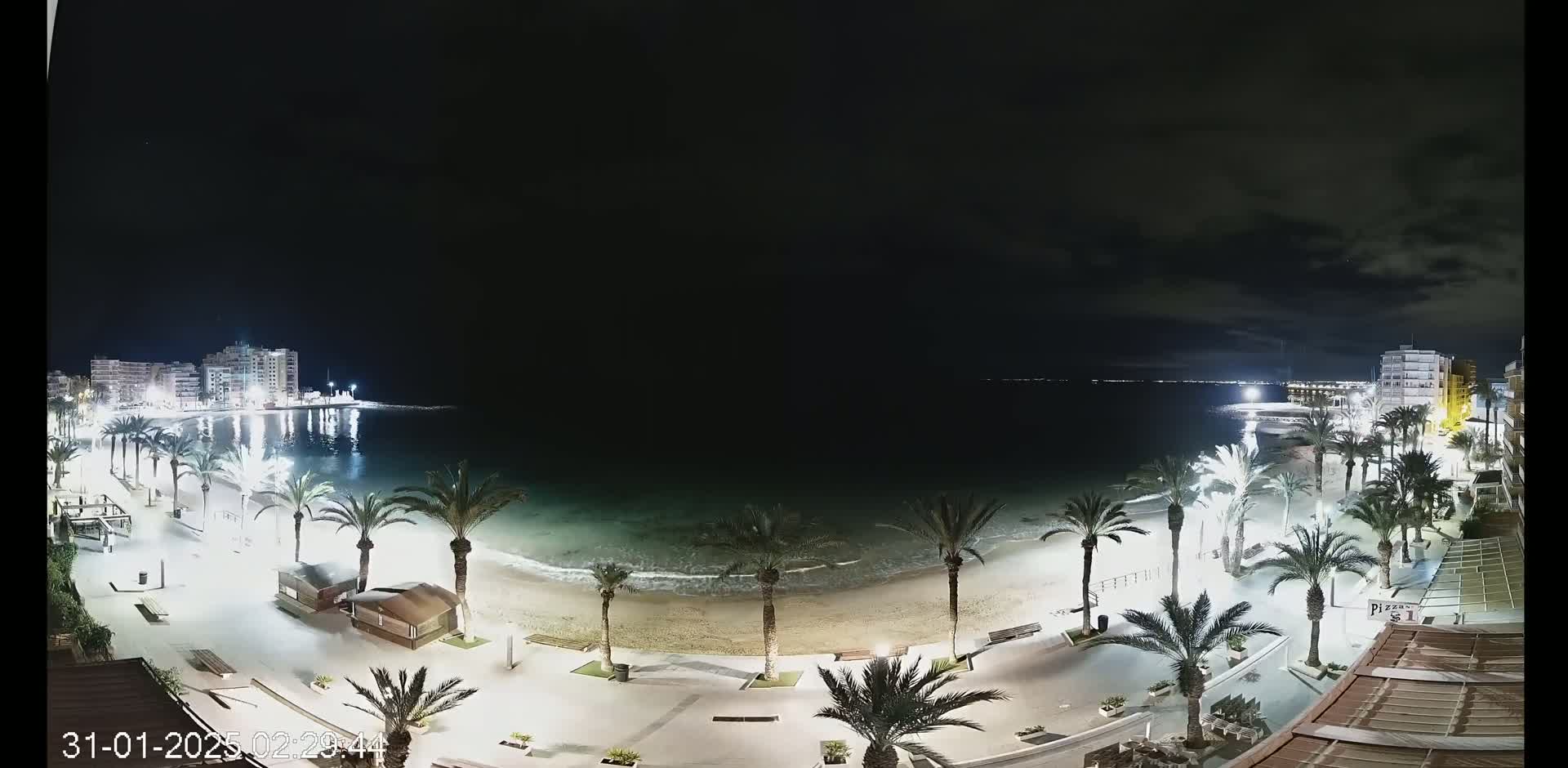 A nighttime view of a beach with palm trees lining a paved walkway, illuminated buildings in the distance, and calm ocean waves lapping the shore under a dark sky.