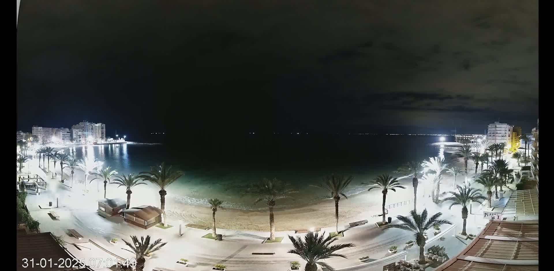 A nighttime view of a beach at the edge of a town, illuminated by artificial lights, with palm trees lining the promenade and calm water visible.