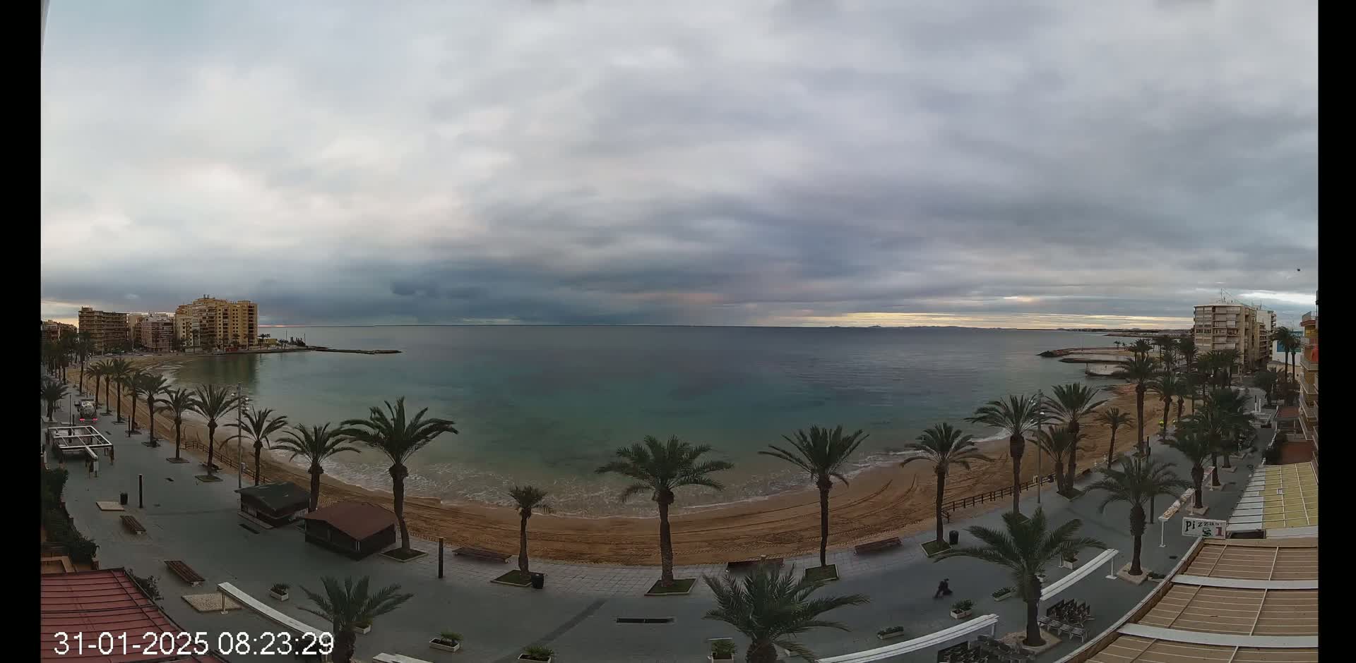 A sandy beach lined with palm trees and buildings stretches along a calm sea under a cloudy sky.