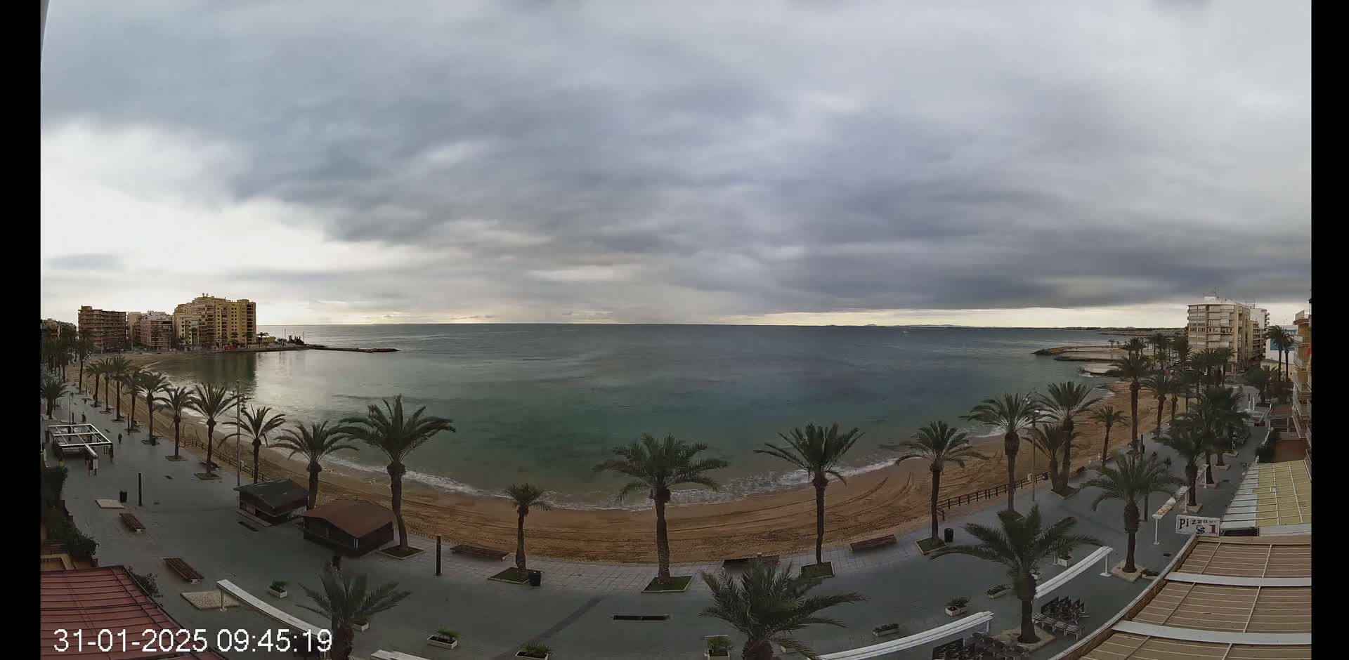 A sandy beach lined with palm trees and buildings is visible under a cloudy sky, with calm ocean waters extending to the horizon.