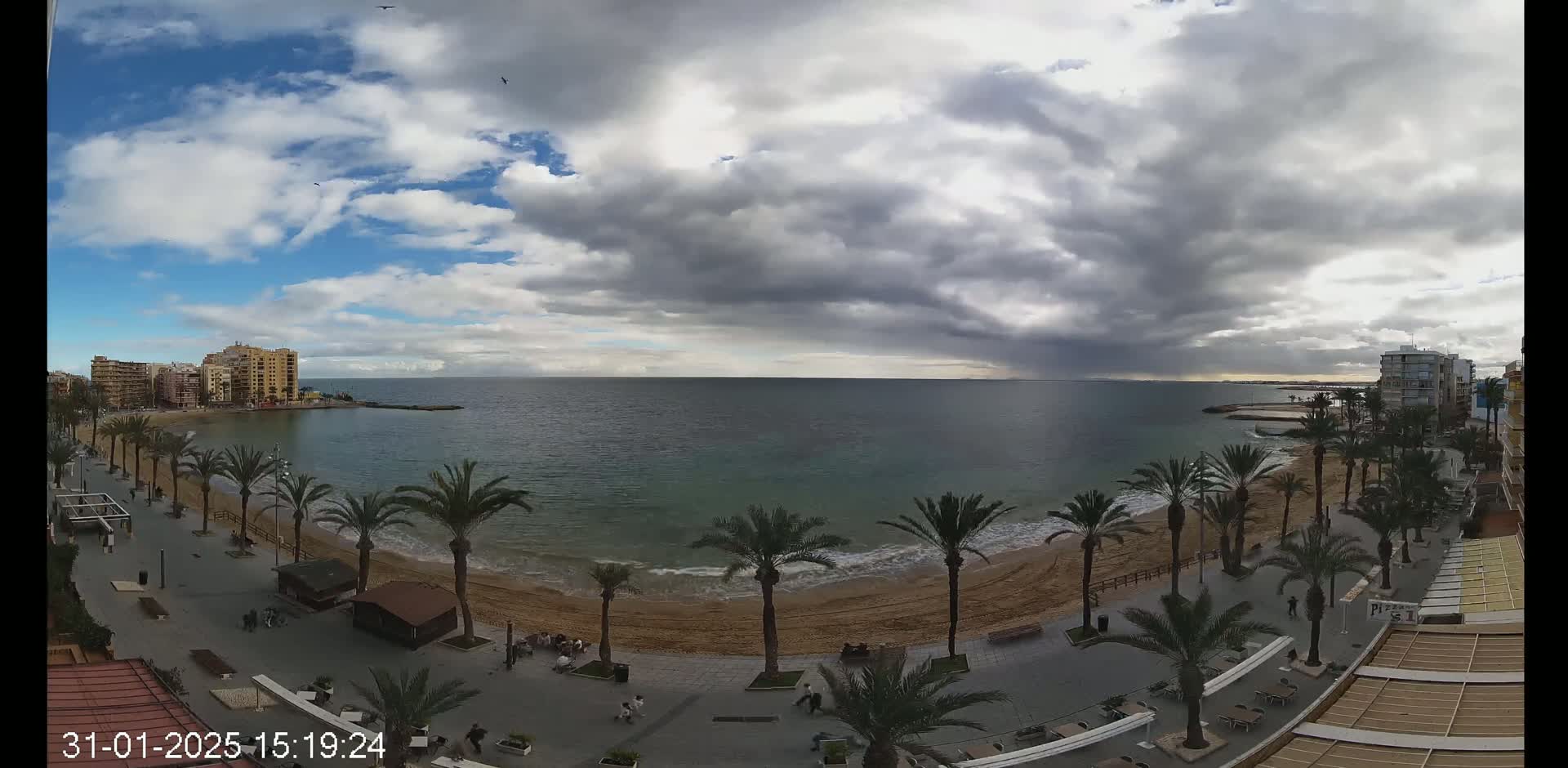 A sandy beach lined with palm trees and buildings stretches along a calm sea under a partly cloudy sky.