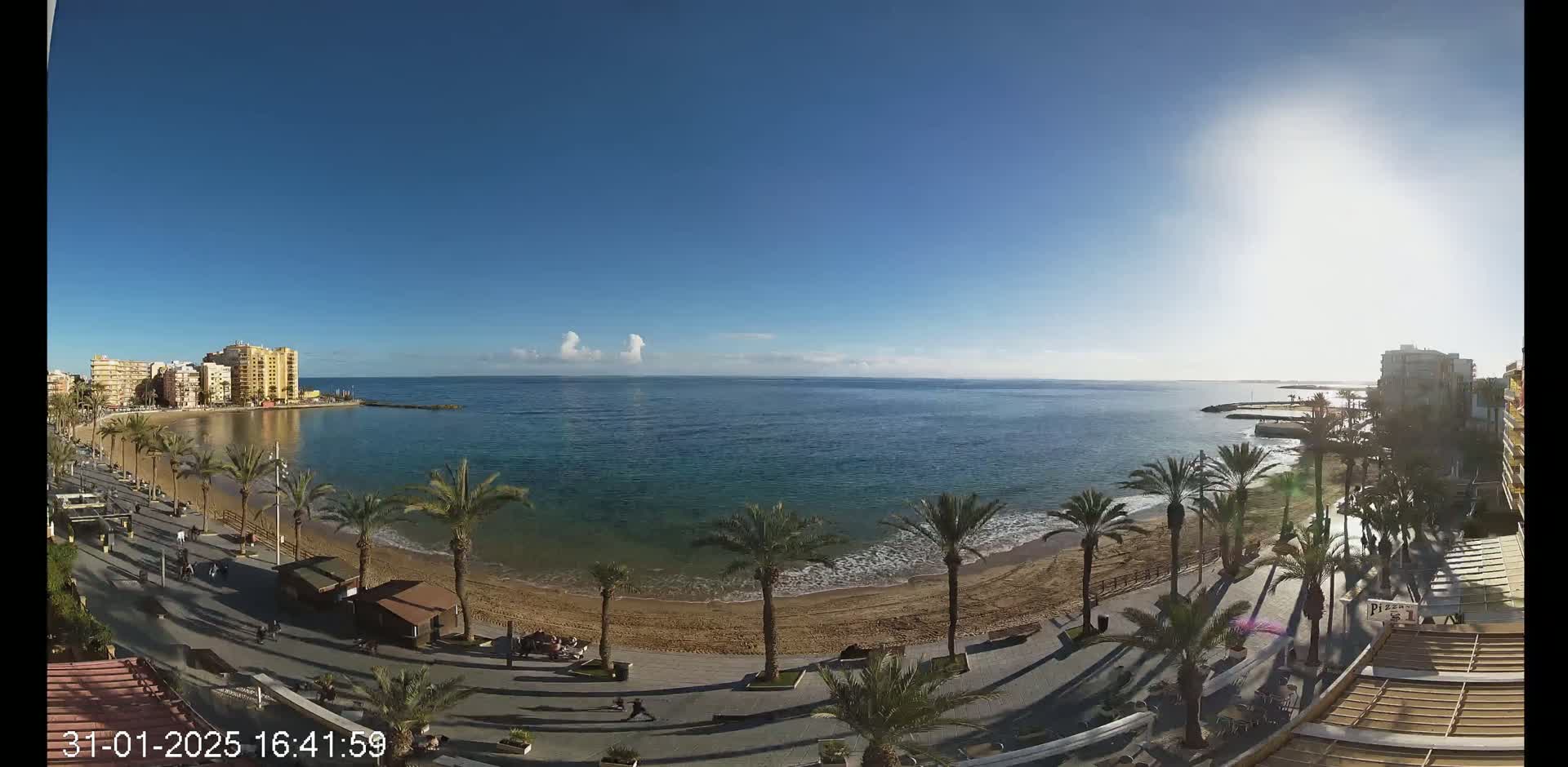 A sunny day reveals a sandy beach lined with palm trees and a boardwalk, next to a calm blue ocean and buildings in the background.