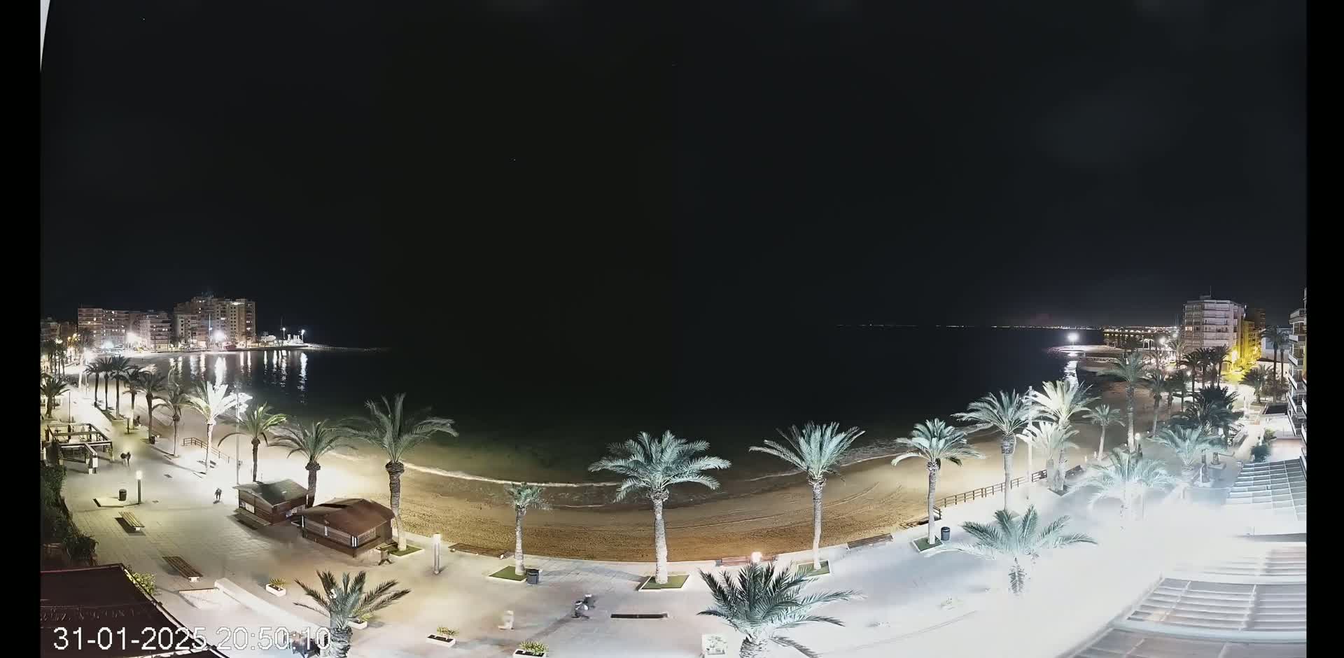 A nighttime, high-angle view of a beach with palm trees lining the shore, buildings in the background, and calm water under a dark sky.
