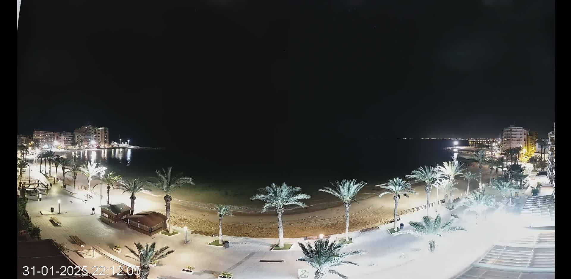 A nighttime, aerial view of a beach with palm trees lining a boardwalk, buildings in the distance, and calm water under a clear, dark sky.
