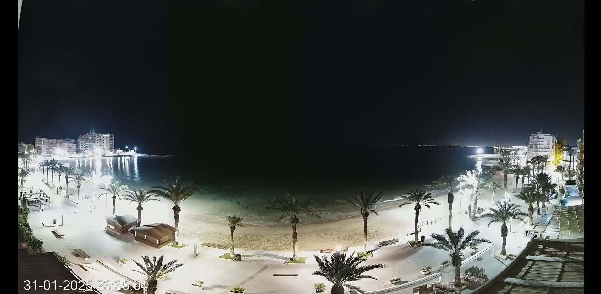 A nighttime view of a beach at low tide, lined with palm trees and buildings, under a clear, dark sky.