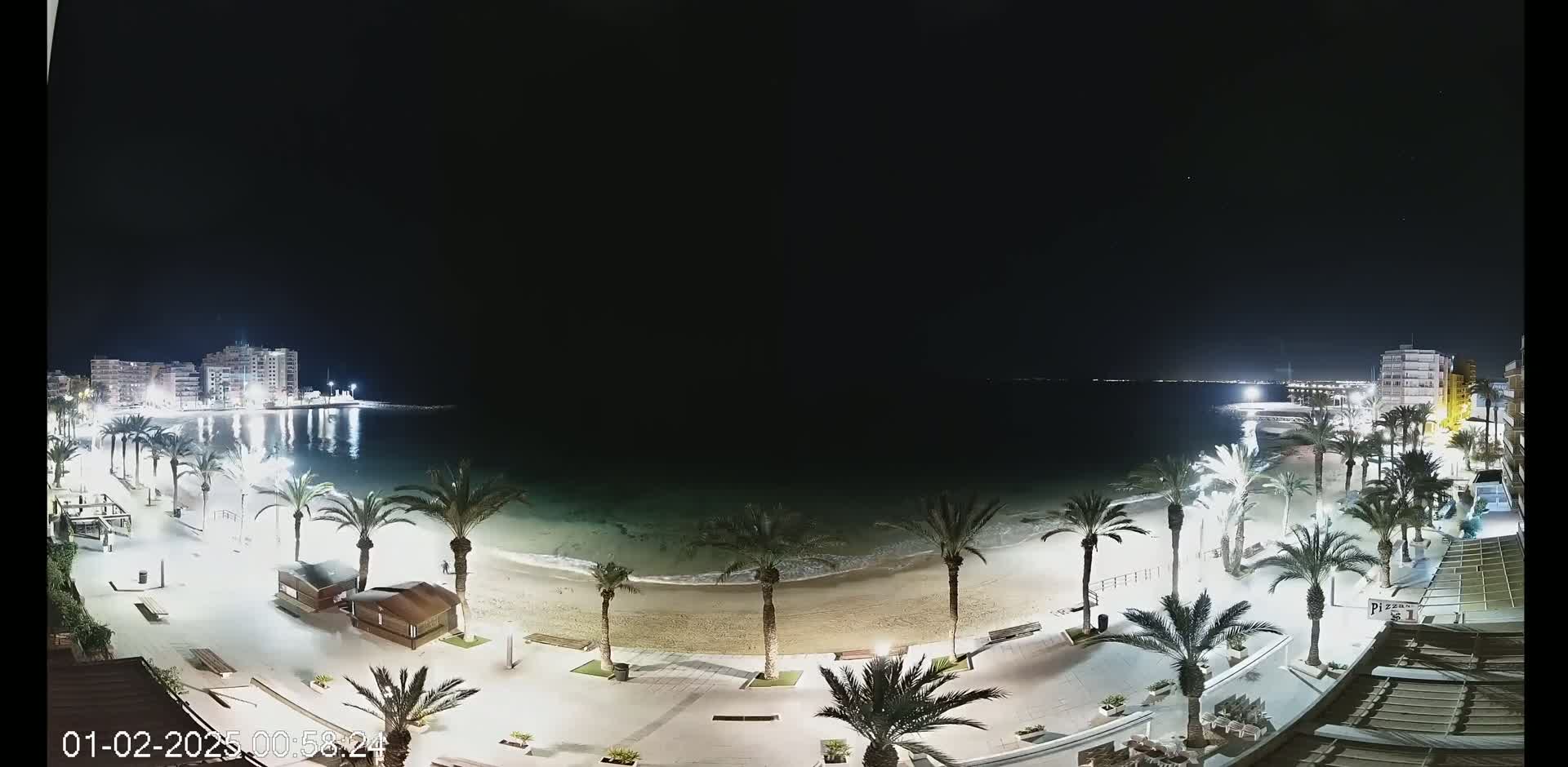A nighttime view of a beach at night with palm trees lining a paved walkway, buildings in the background, and calm water.