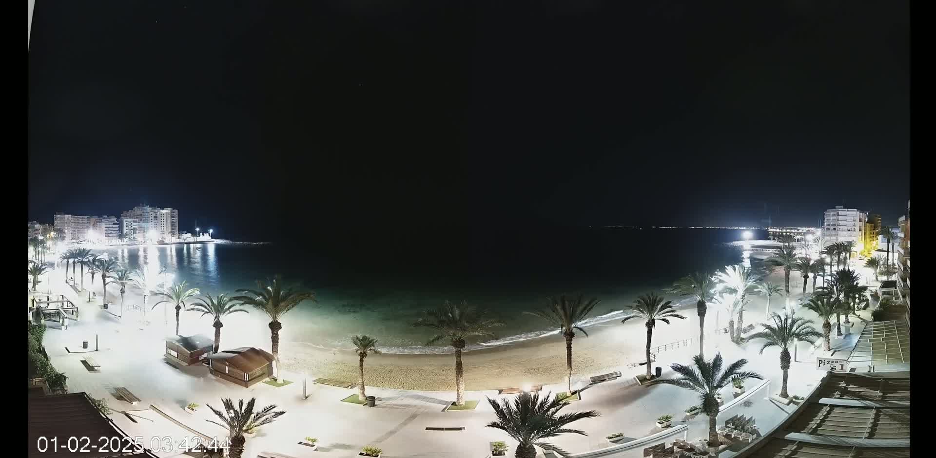 A nighttime view of a beach with palm trees lining a paved walkway, illuminated buildings in the distance, and calm ocean waves lapping the shore under a clear, dark sky.