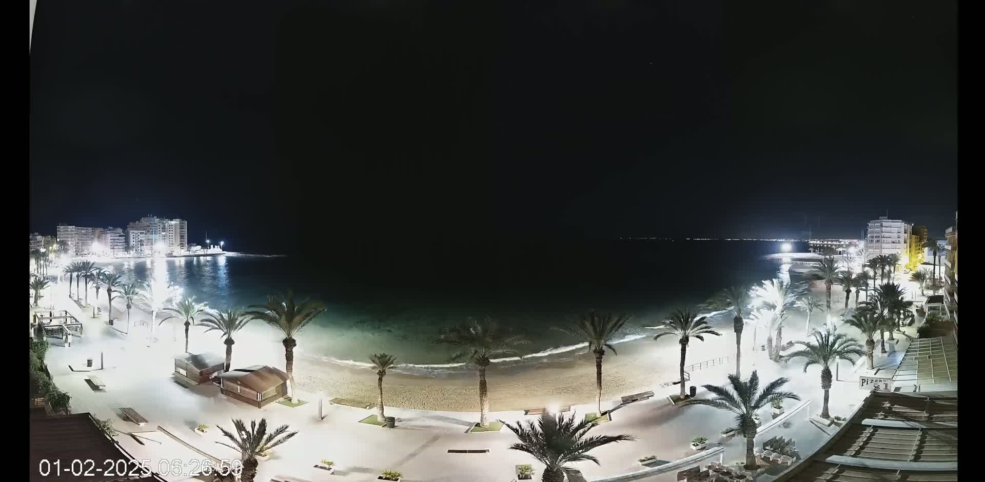 A nighttime view of a beach with palm trees lining a paved walkway, buildings in the background, and gently lapping waves under a clear, dark sky.