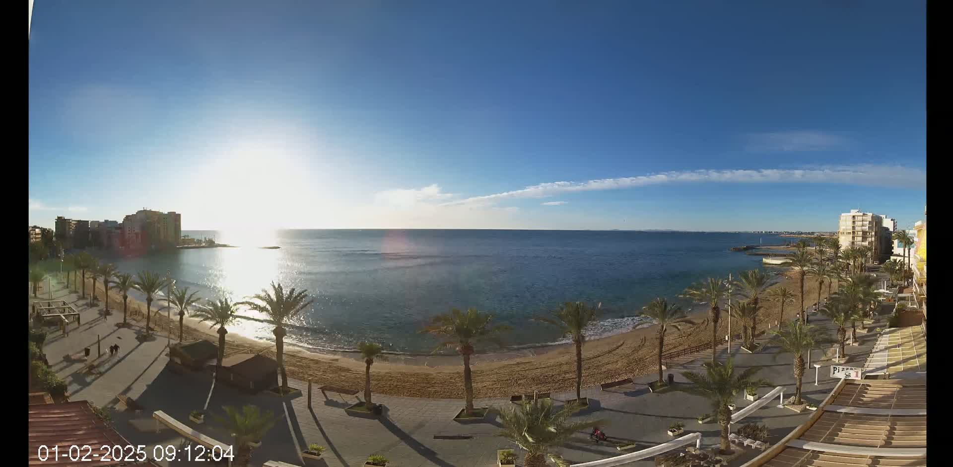 A sunny day on a sandy beach, lined with palm trees and buildings, overlooks a calm ocean.