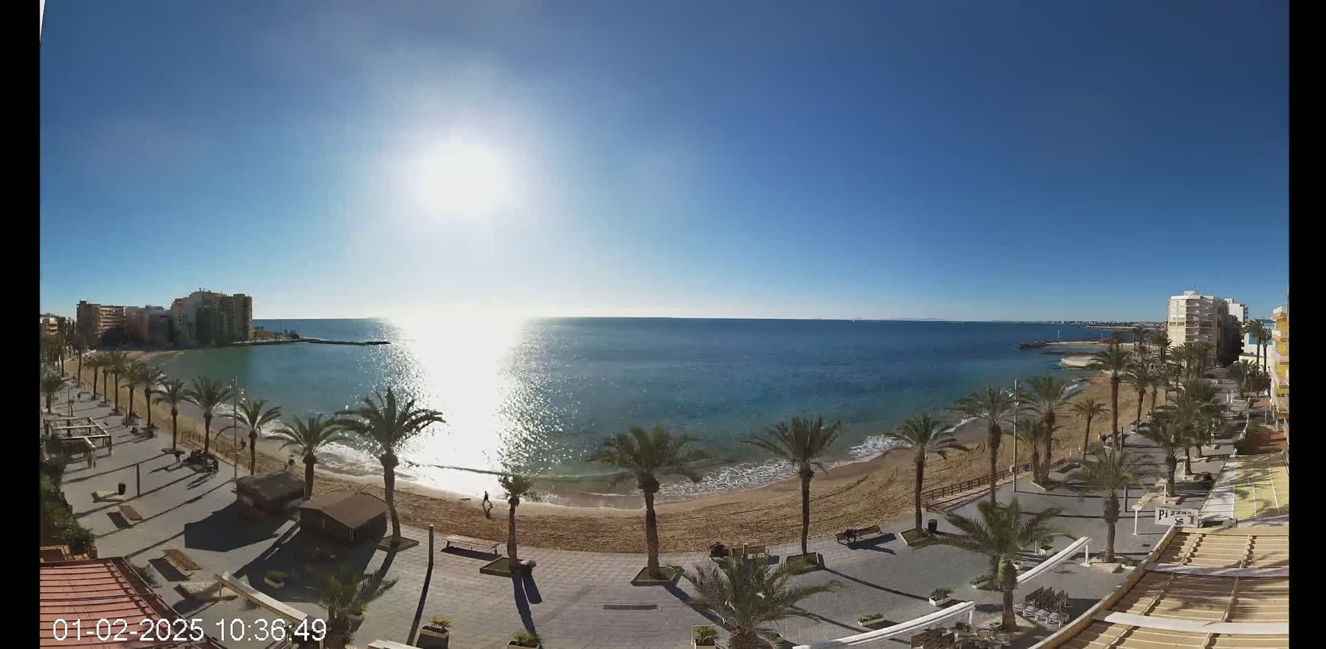 A sunny day at a beach with palm trees lining a paved walkway next to a sandy shore and calm blue water, buildings visible in the distance.