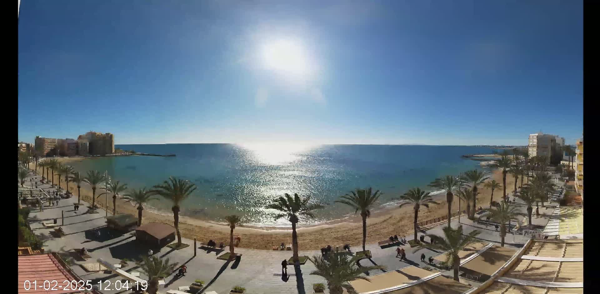 A sunny day at a beach with palm trees lining a paved walkway, buildings in the background, and a calm, sparkling sea.