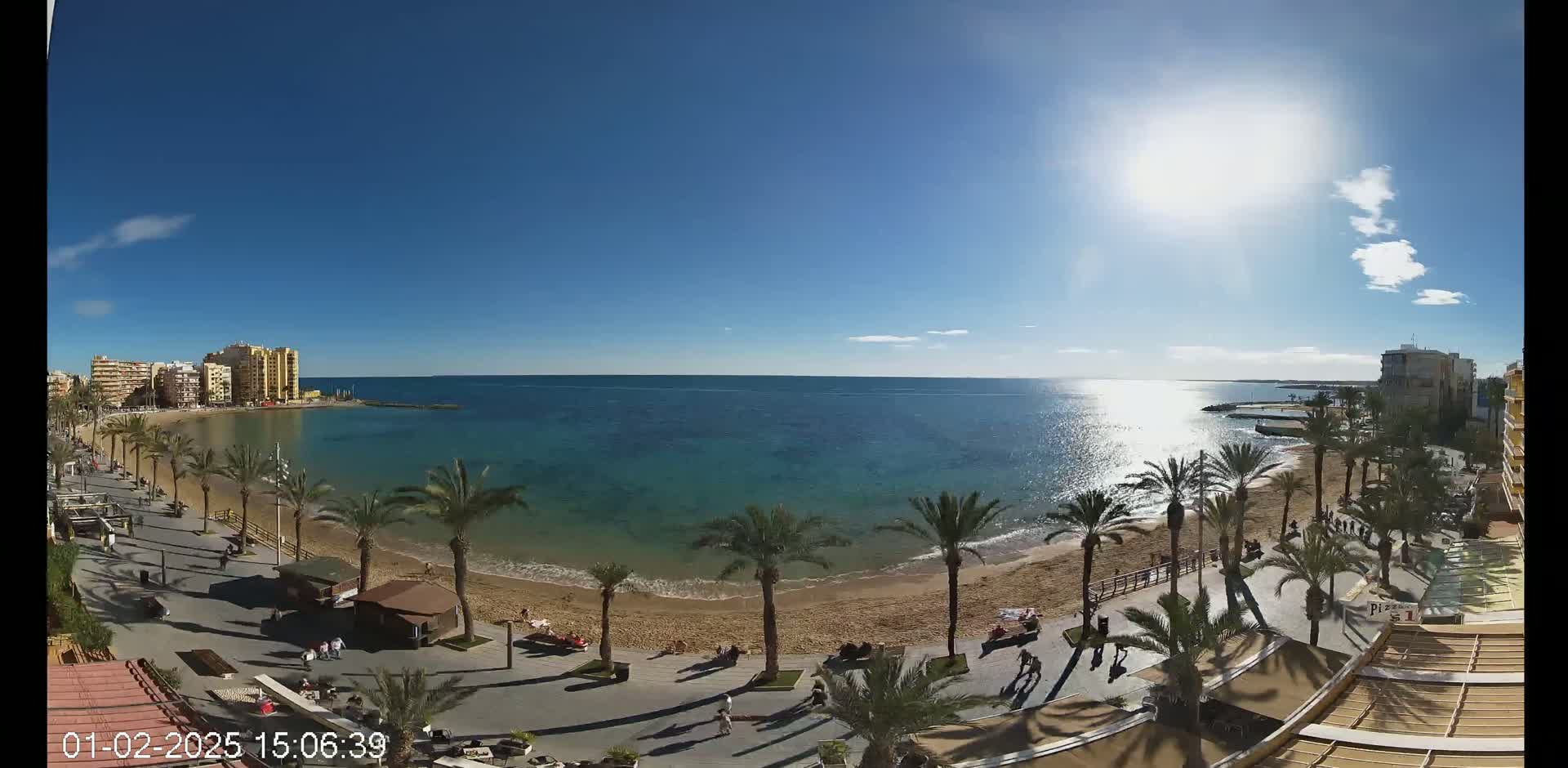 A sunny day at a beach with palm trees lining a boardwalk and buildings in the background.
