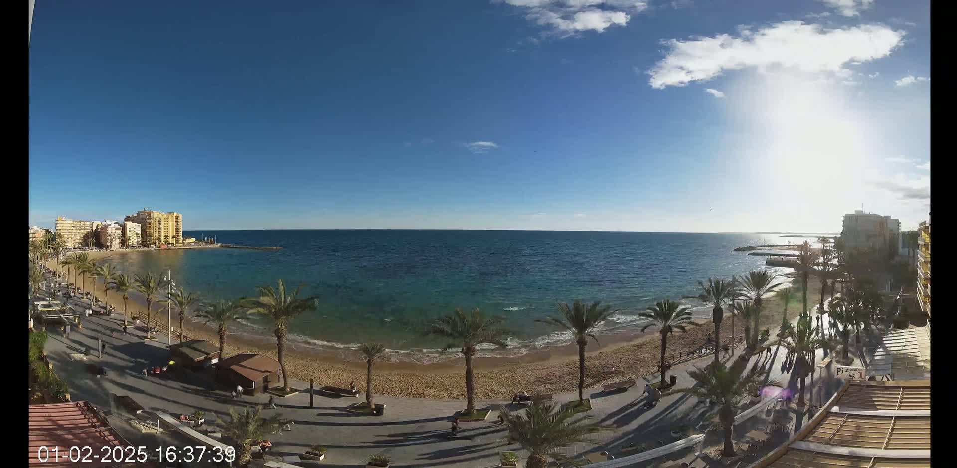 A sunny day at a beach with palm trees lining a boardwalk, buildings in the background, and a calm, blue sea.