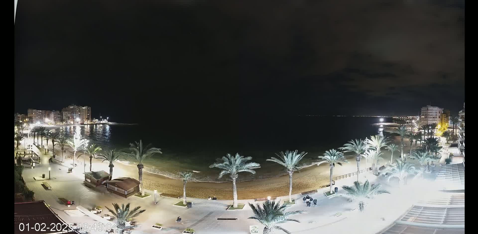 A nighttime view of a beach with palm trees lining the shoreline, buildings visible in the distance under a dark, cloudy sky.