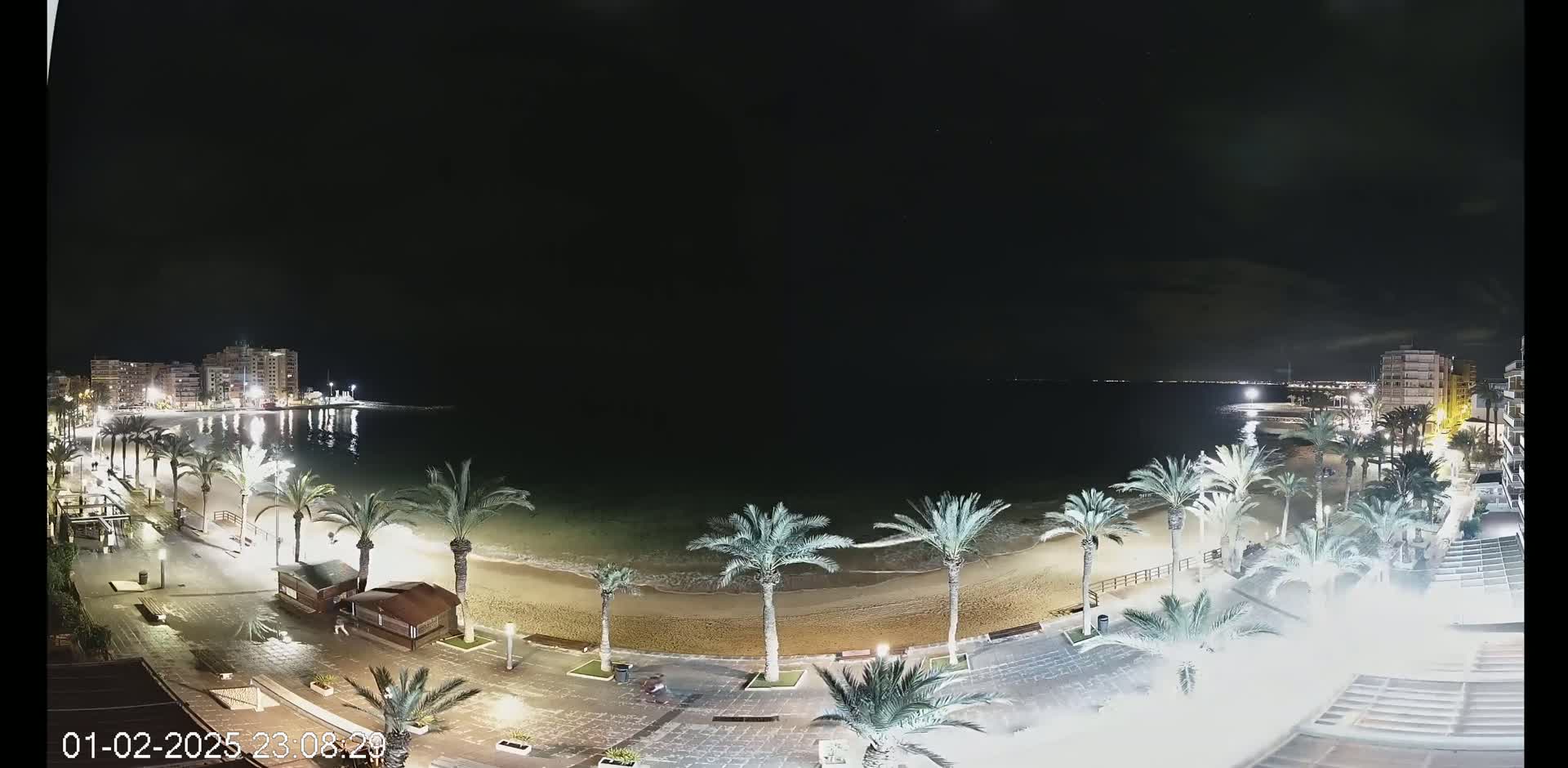 A nighttime, overhead view of a beach with palm trees lining the shore, illuminated buildings in the background, and calm water under a dark sky.