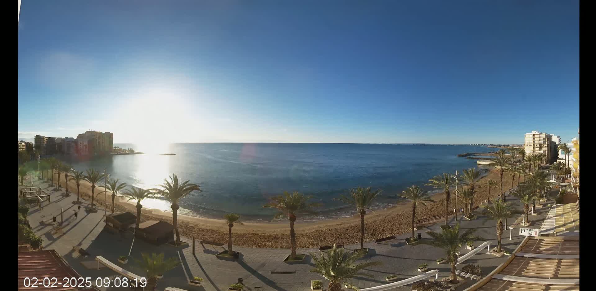 A sunny day reveals a beach with palm trees lining a paved walkway, buildings visible in the distance, and a calm sea.