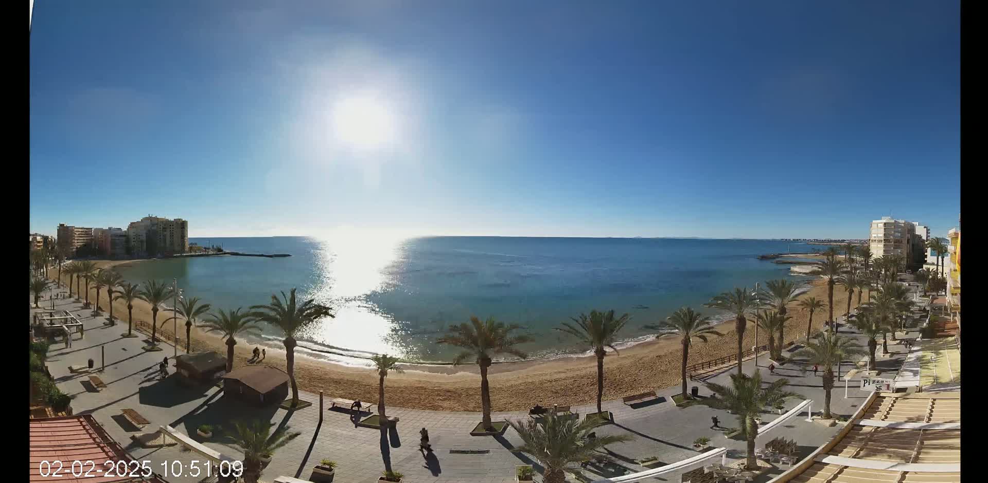 A sunny day shows a beach with palm trees lining a paved walkway next to calm, blue ocean water and buildings in the background.