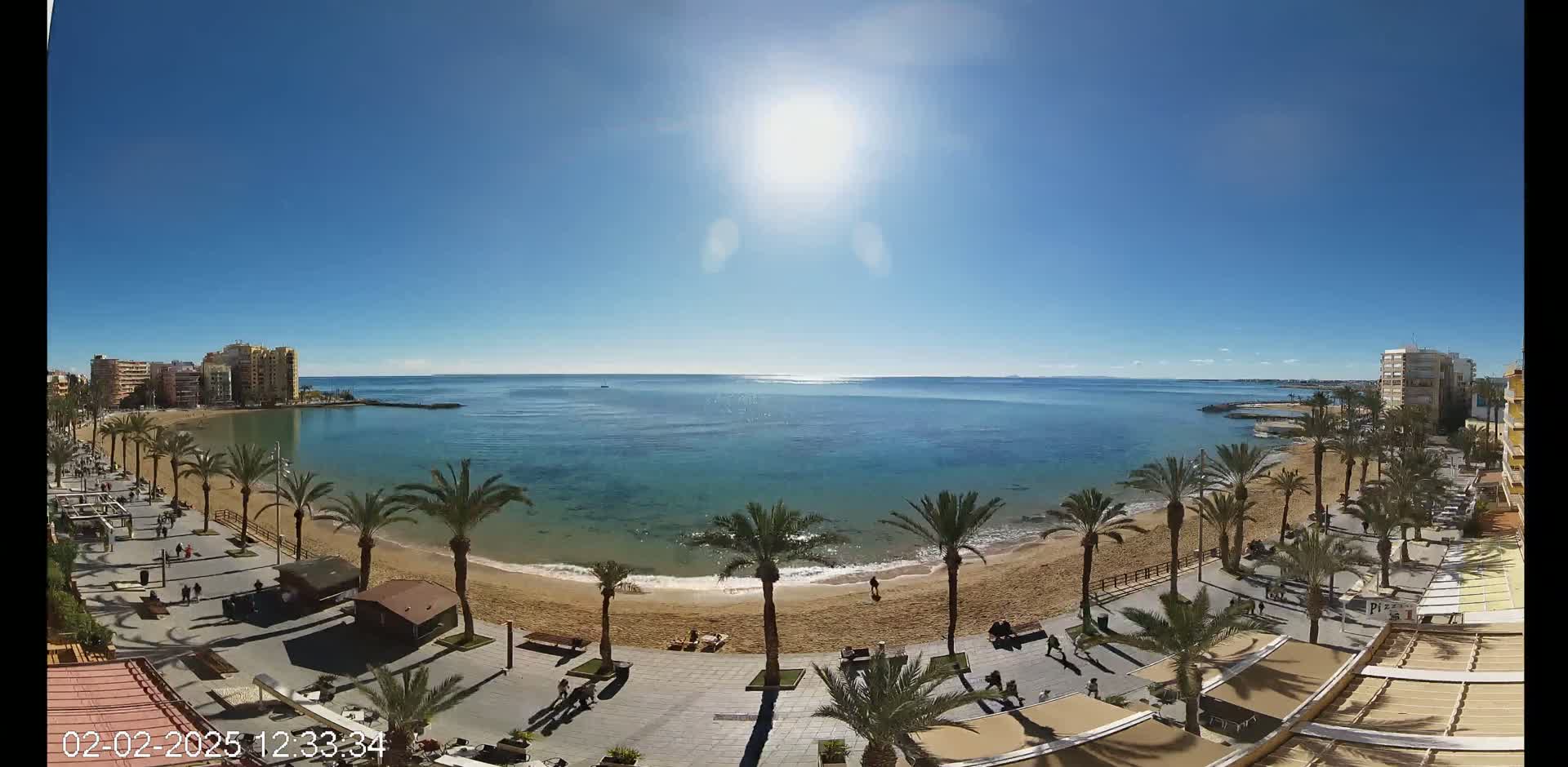 A sunny day at a beach with palm trees lining a paved walkway next to a sandy beach and calm ocean, buildings visible in the background.