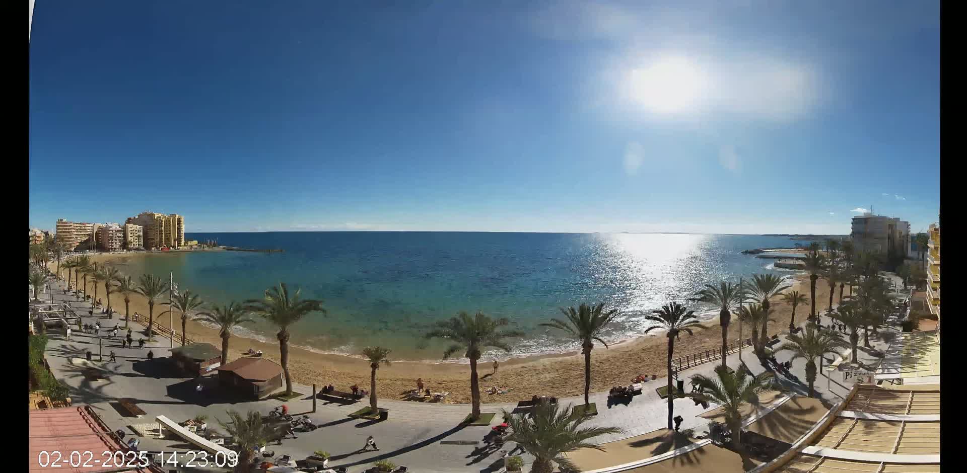 A sunny day at a beach with palm trees lining a sandy shore and buildings in the background.
