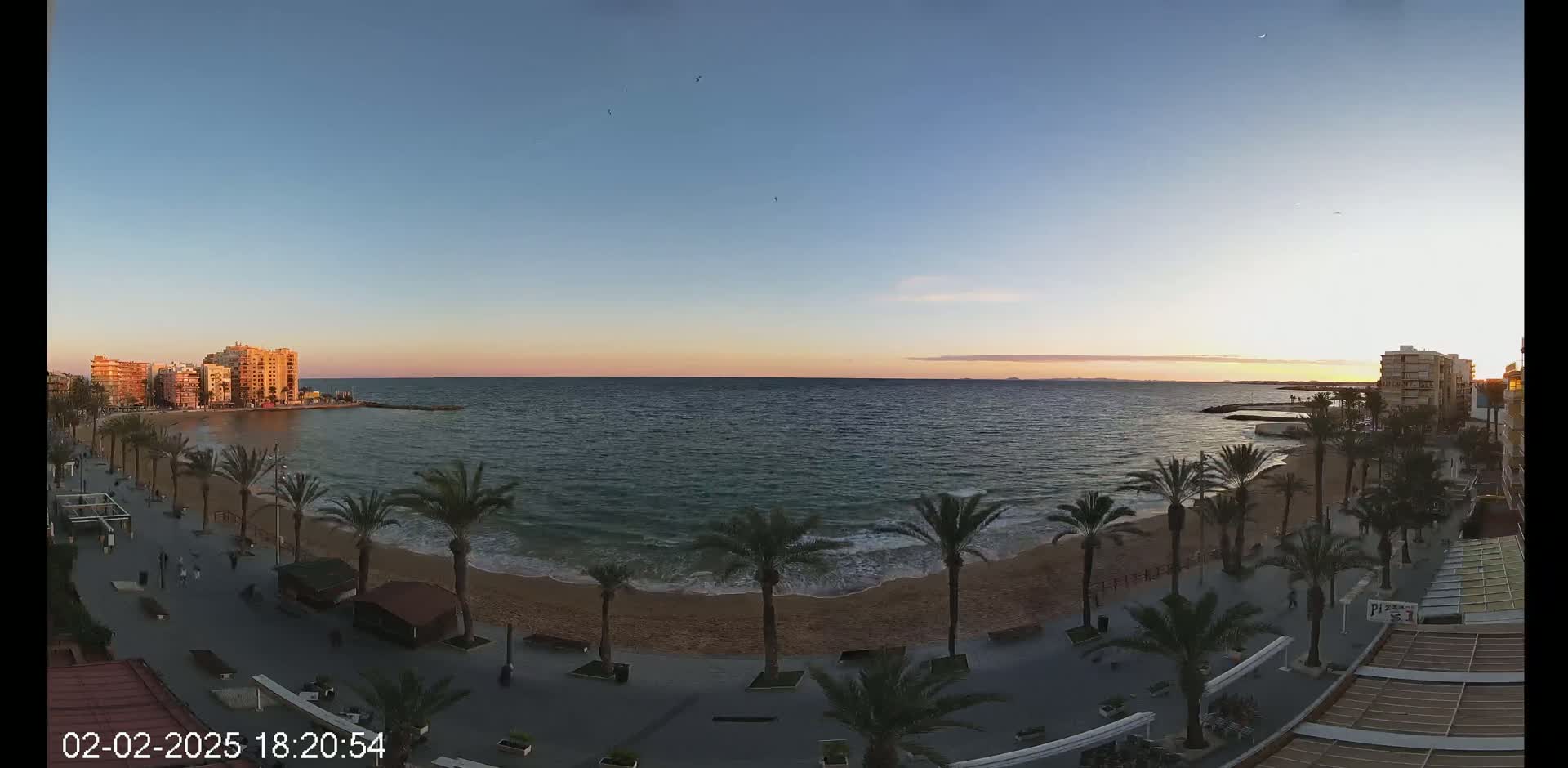 A tranquil beach scene at sunset, featuring palm trees lining a sandy shore with calm ocean waves and buildings in the distance.