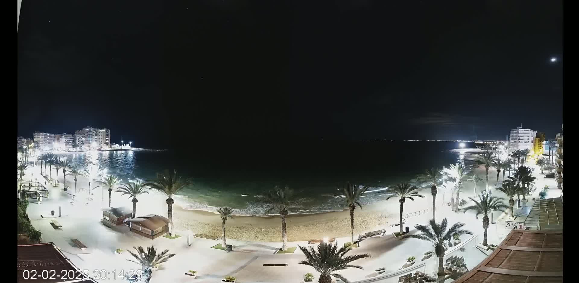 A nighttime view of a beach with palm trees lining the shore, illuminated buildings in the background, and gentle waves lapping the sand under a clear, dark sky.