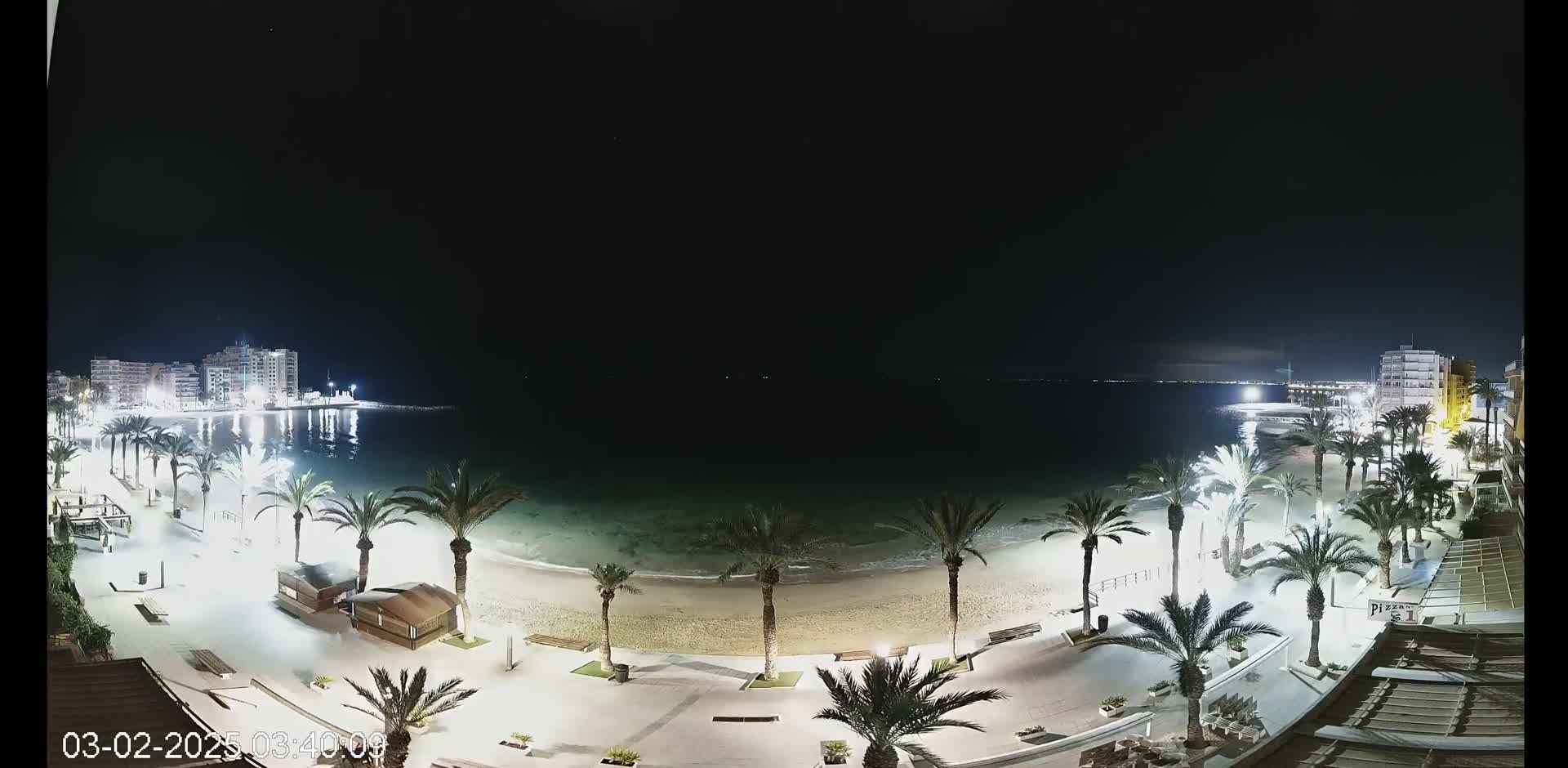 A nighttime beach scene shows palm trees lining a paved walkway next to a sandy beach, with buildings and lights visible across the water under a clear, dark sky.