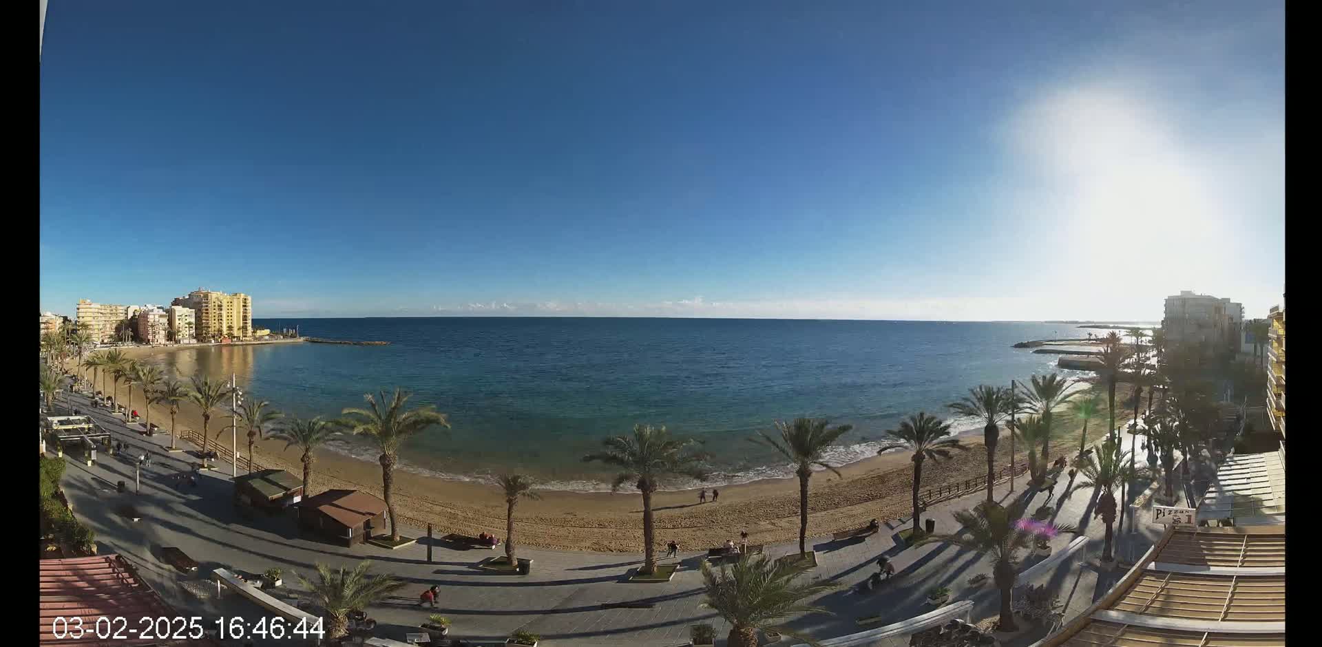 A sunny day at a beachside promenade shows palm trees lining a sandy beach and calm blue water, with buildings visible in the distance.