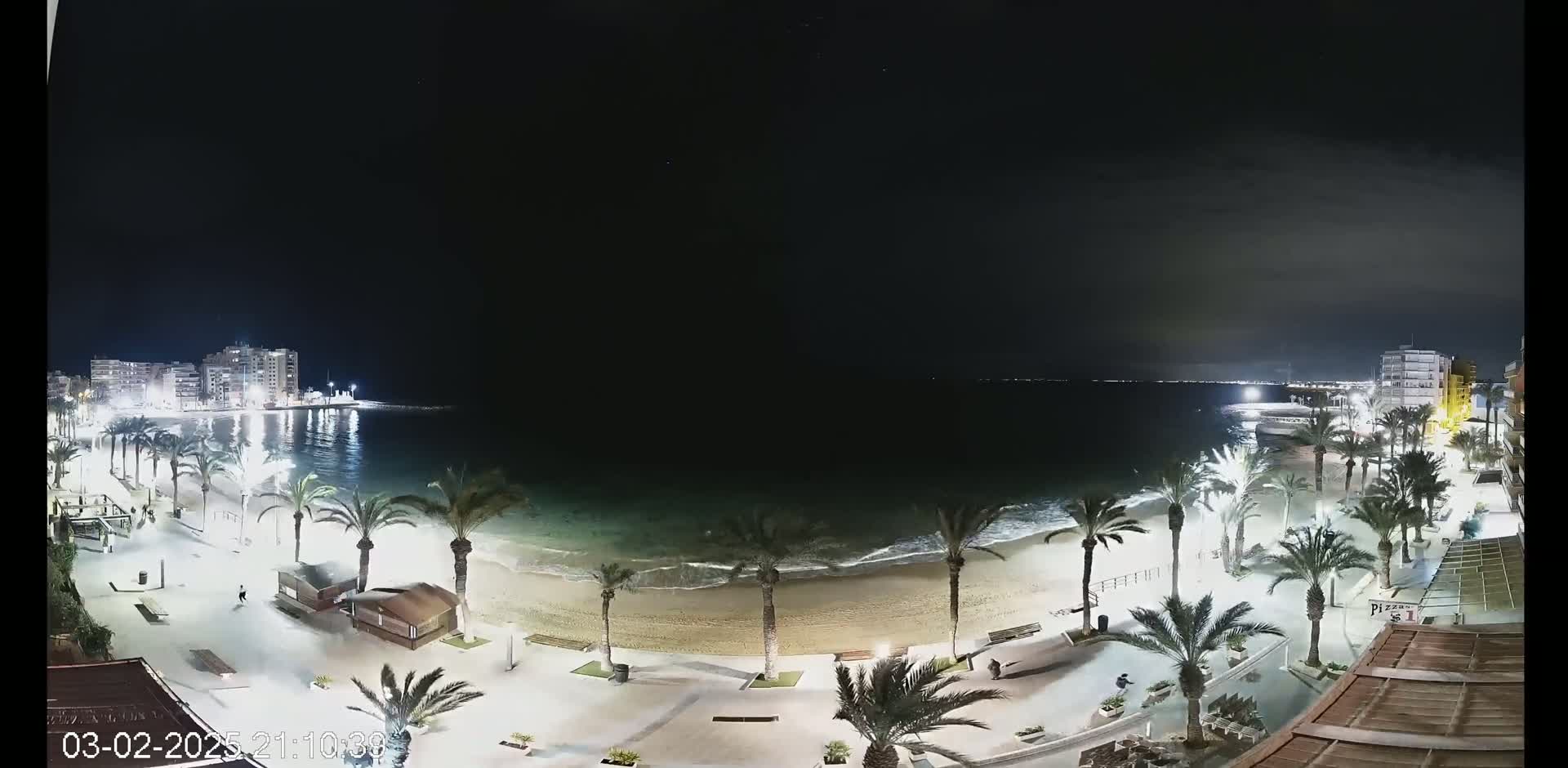 A nighttime view of a beach with palm trees lining a paved walkway, buildings in the distance, and gentle waves lapping the shore under a dark, clear sky.