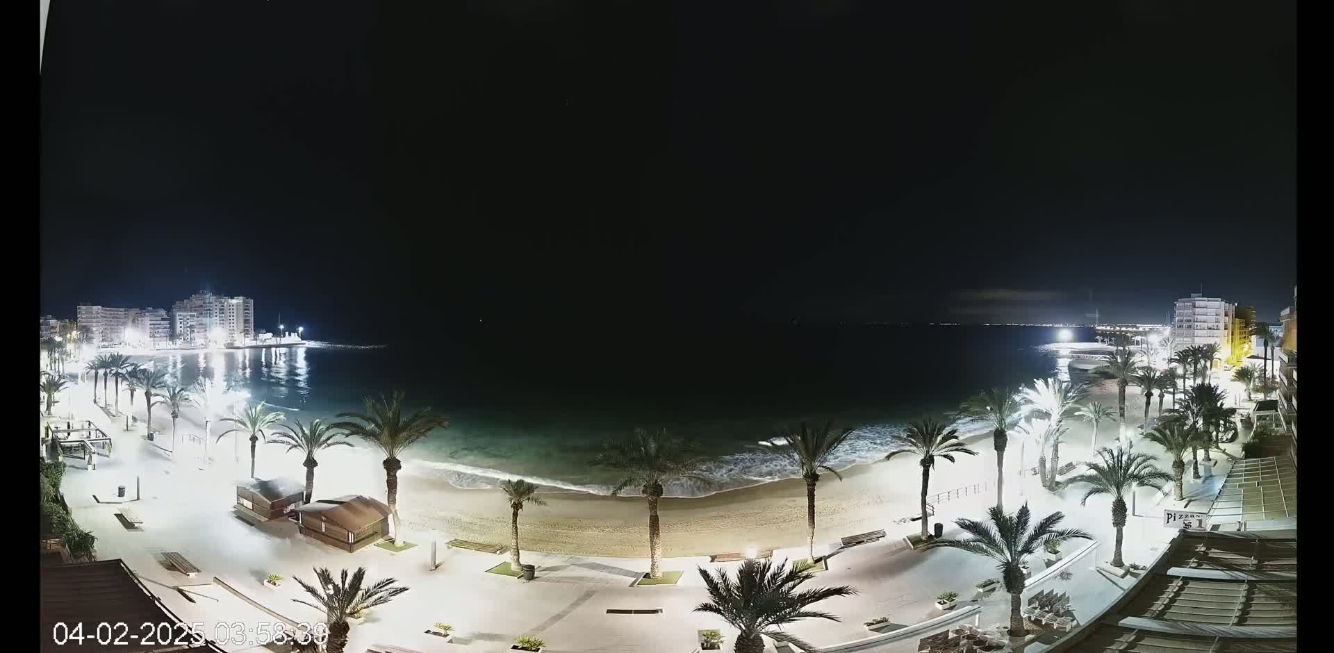 A nighttime view of a beach with palm trees, buildings, and calm waves under a dark sky.