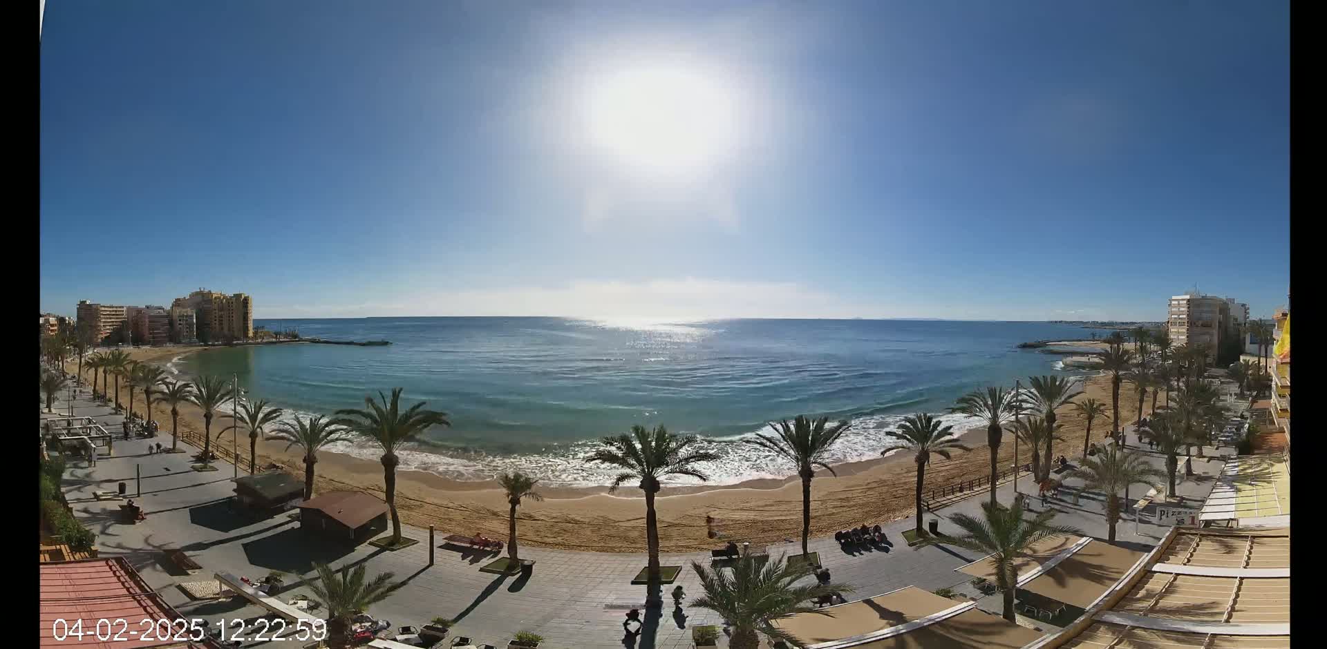A sunny day at a beach with palm trees lining a boardwalk next to calm ocean waves.