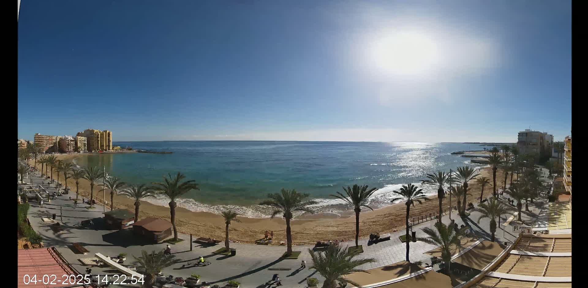 A sunny day at a beachside promenade shows palm trees lining a sandy beach with calm, blue water and buildings in the background.