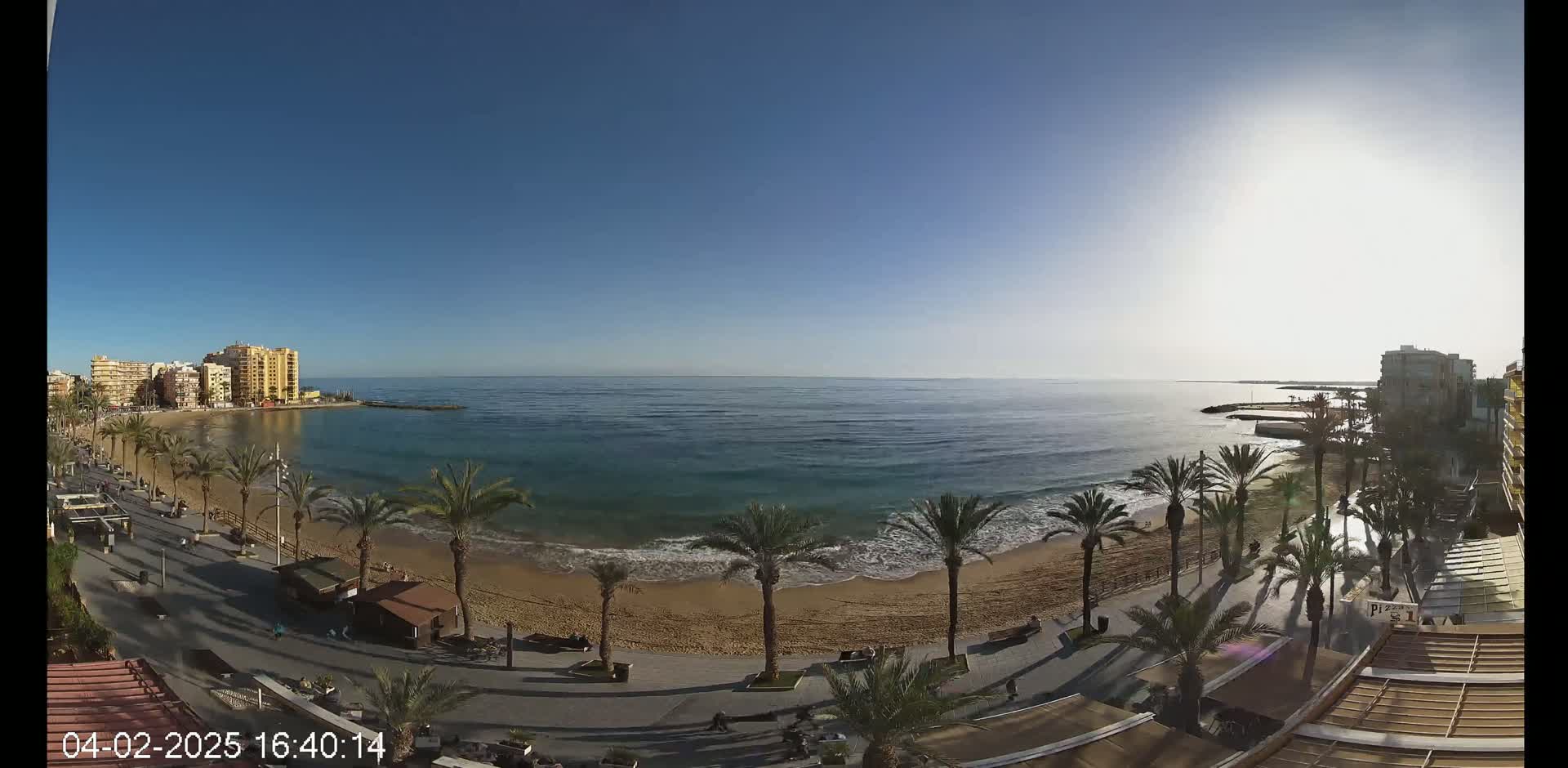 A sandy beach with palm trees lines a calm ocean under a clear blue sky.